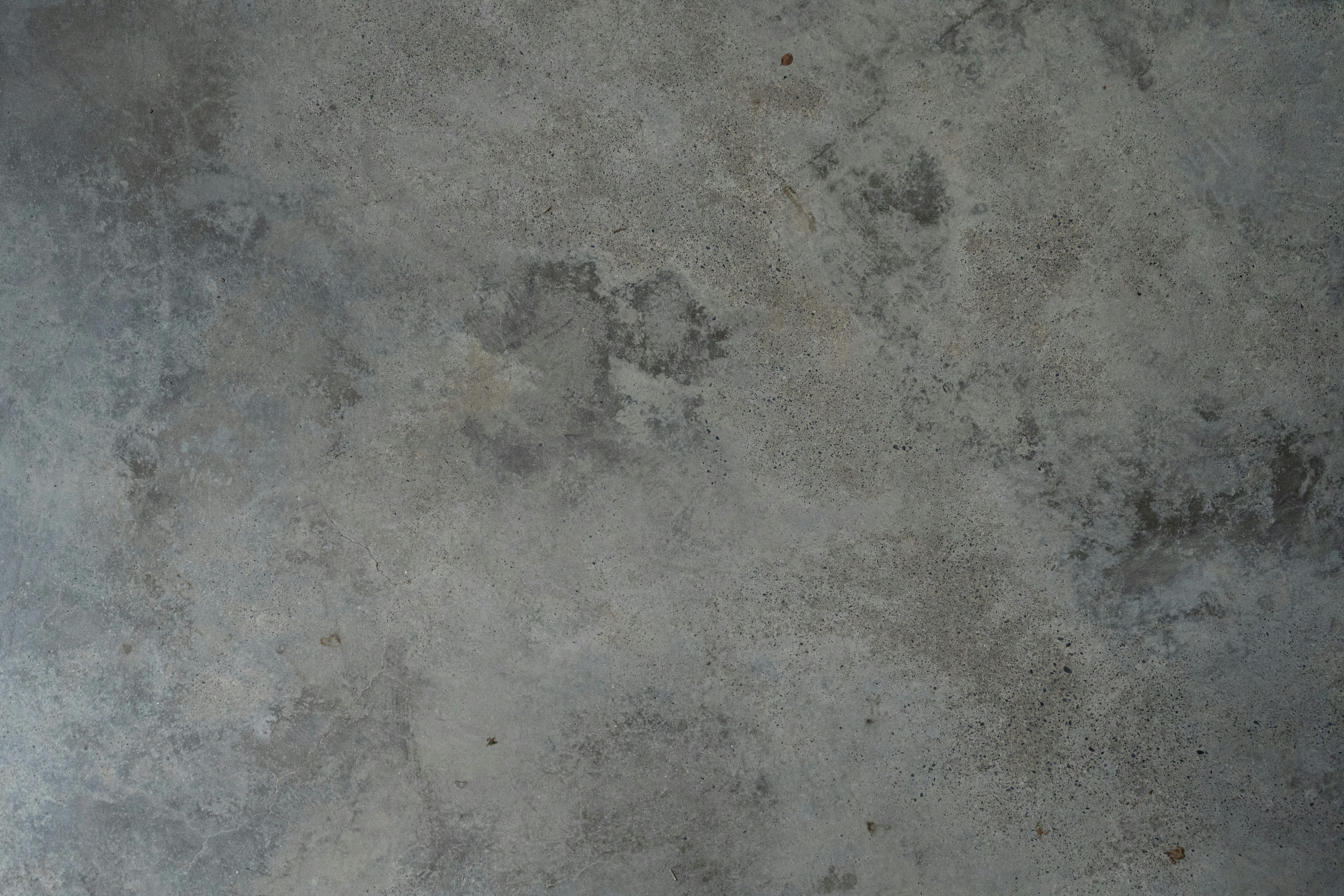 Photo by harrisonchang