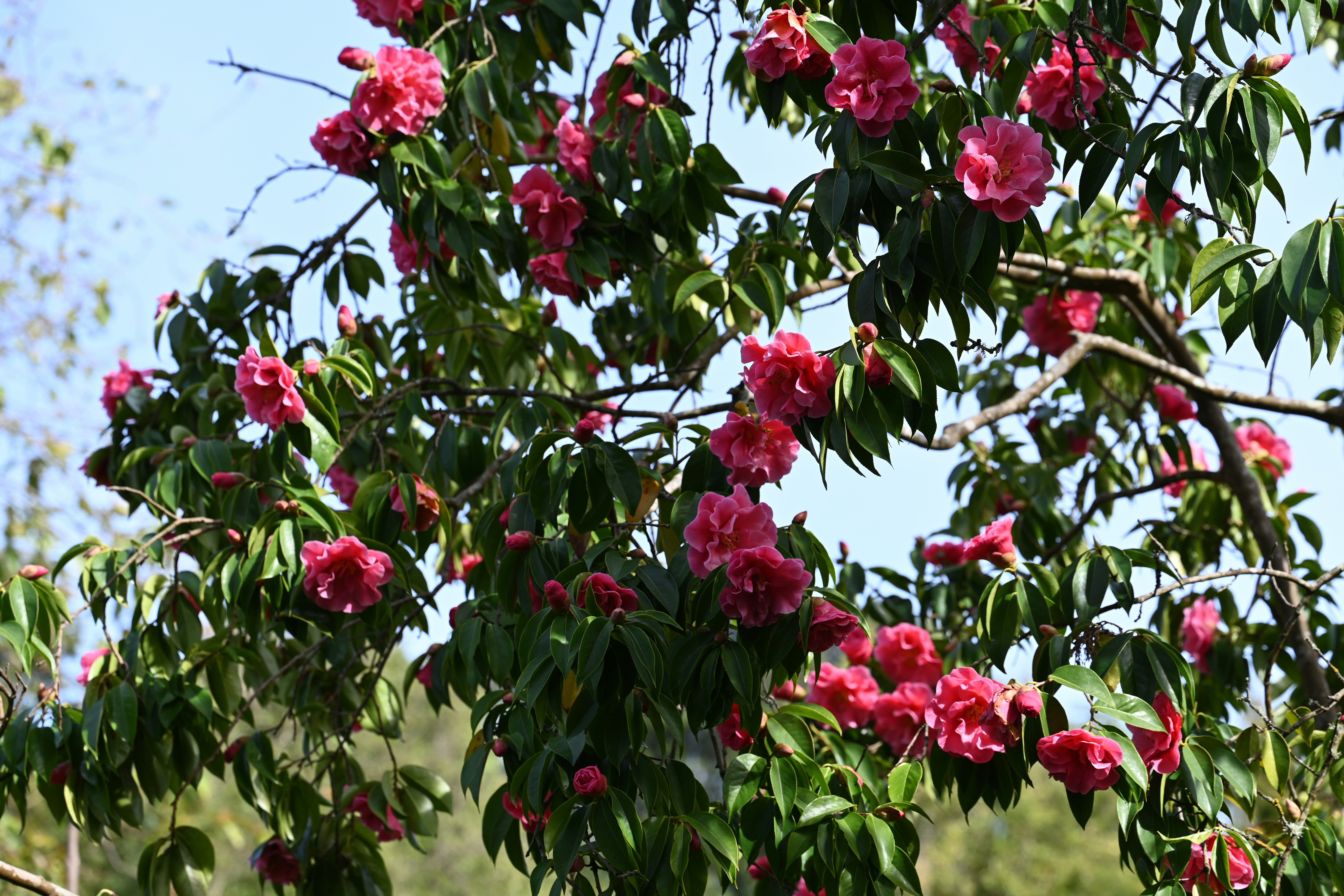 Photo by theunknownaldiaz