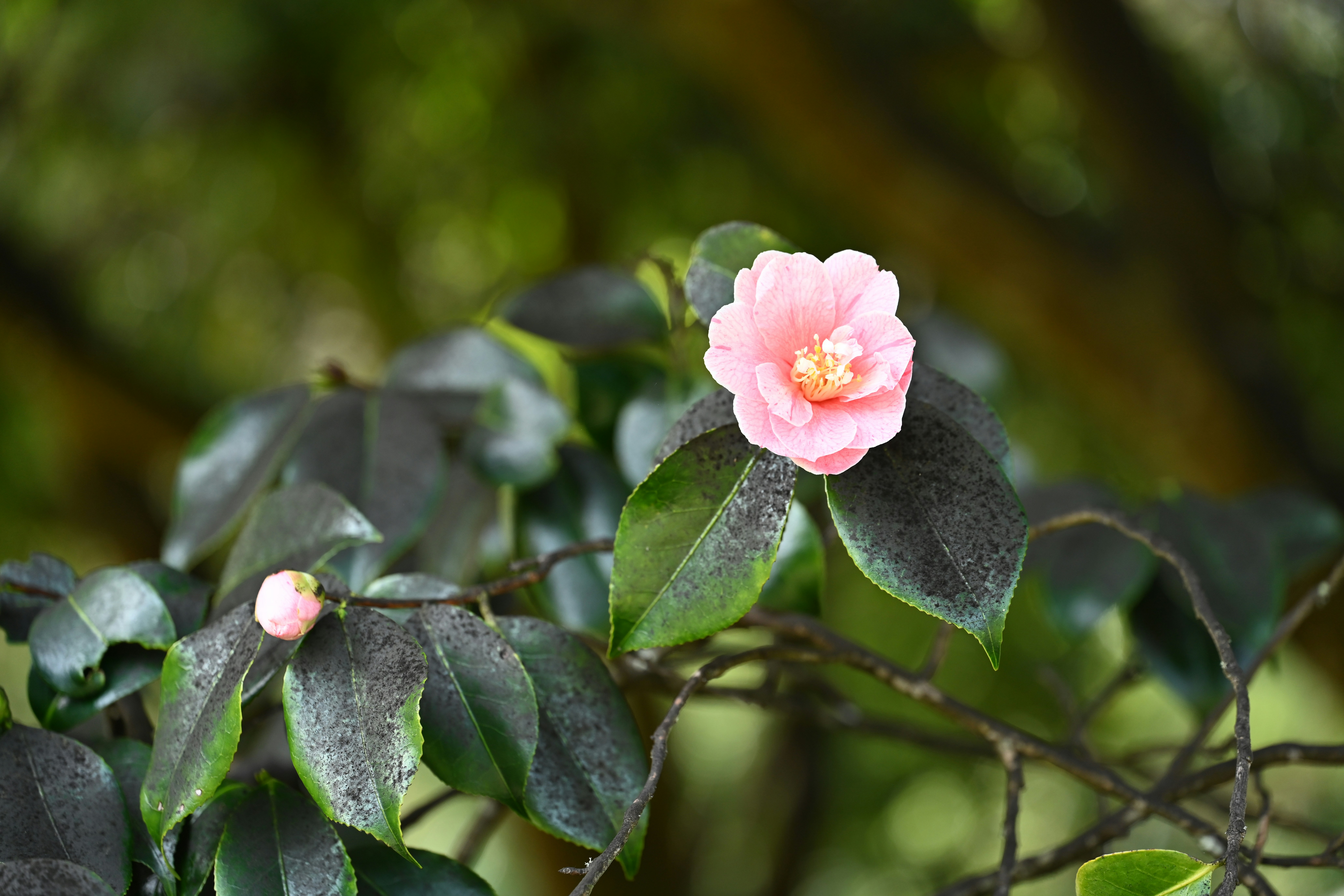 Photo by theunknownaldiaz