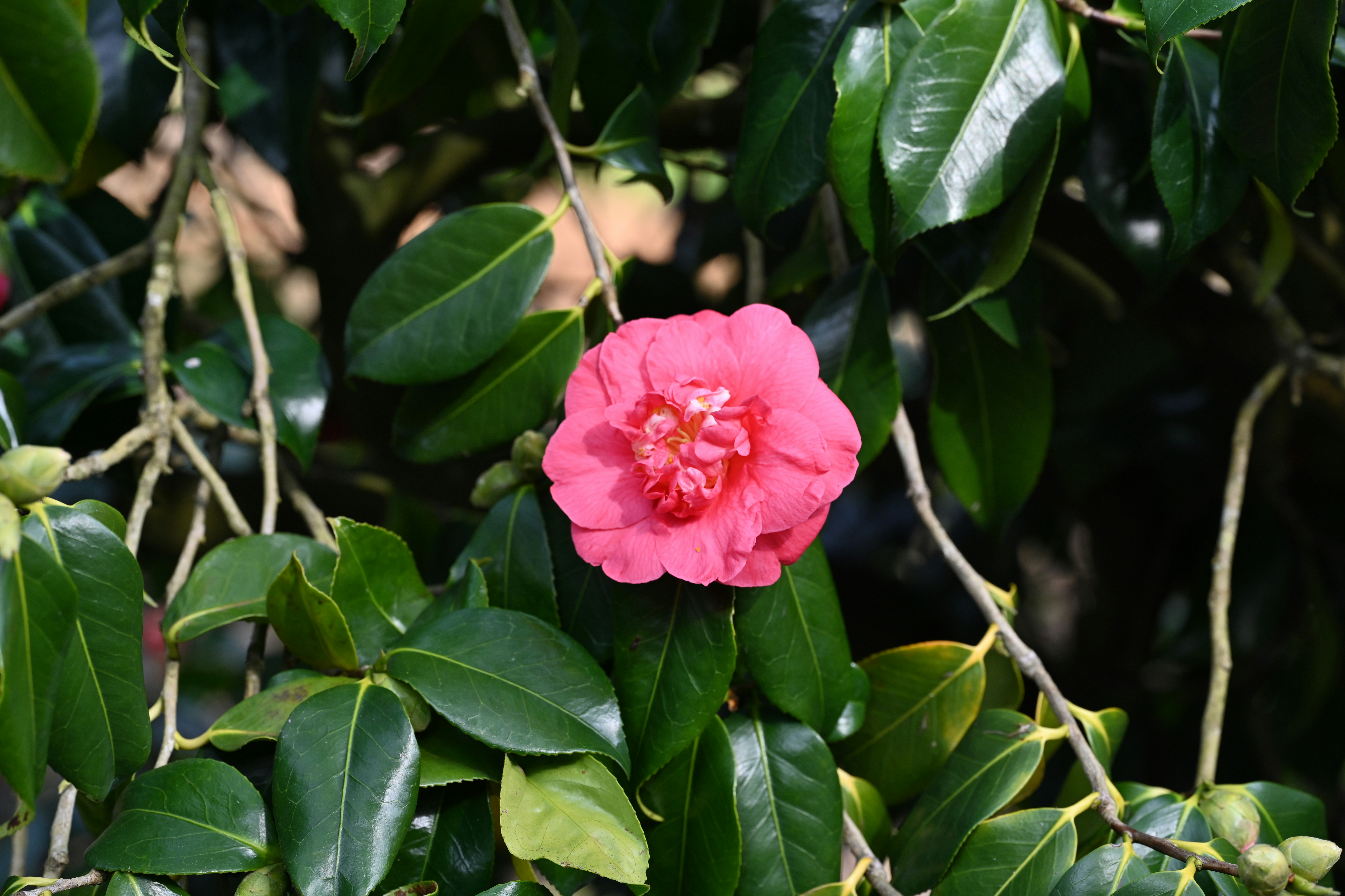 Photo by theunknownaldiaz