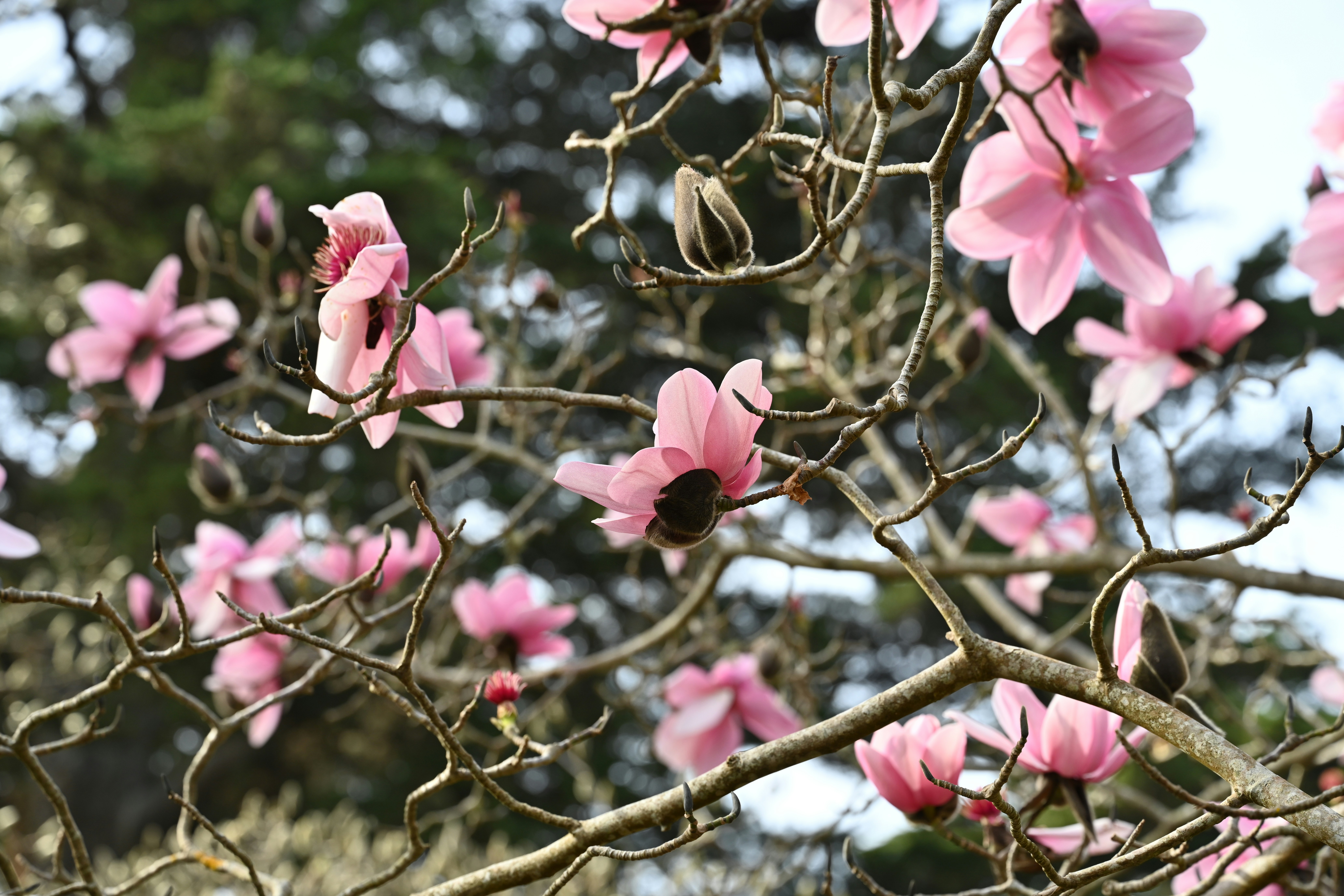 Photo by theunknownaldiaz