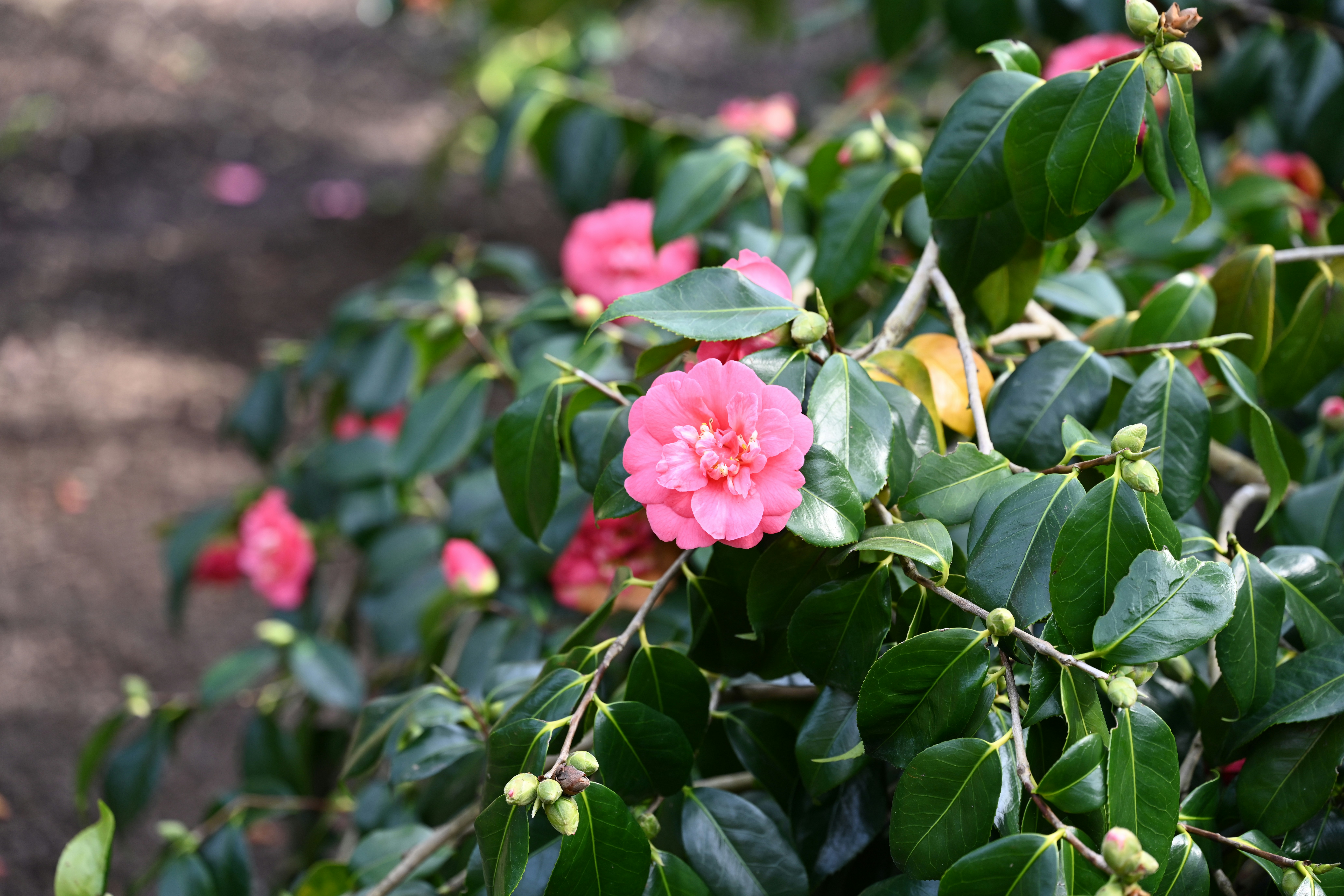 Photo by theunknownaldiaz