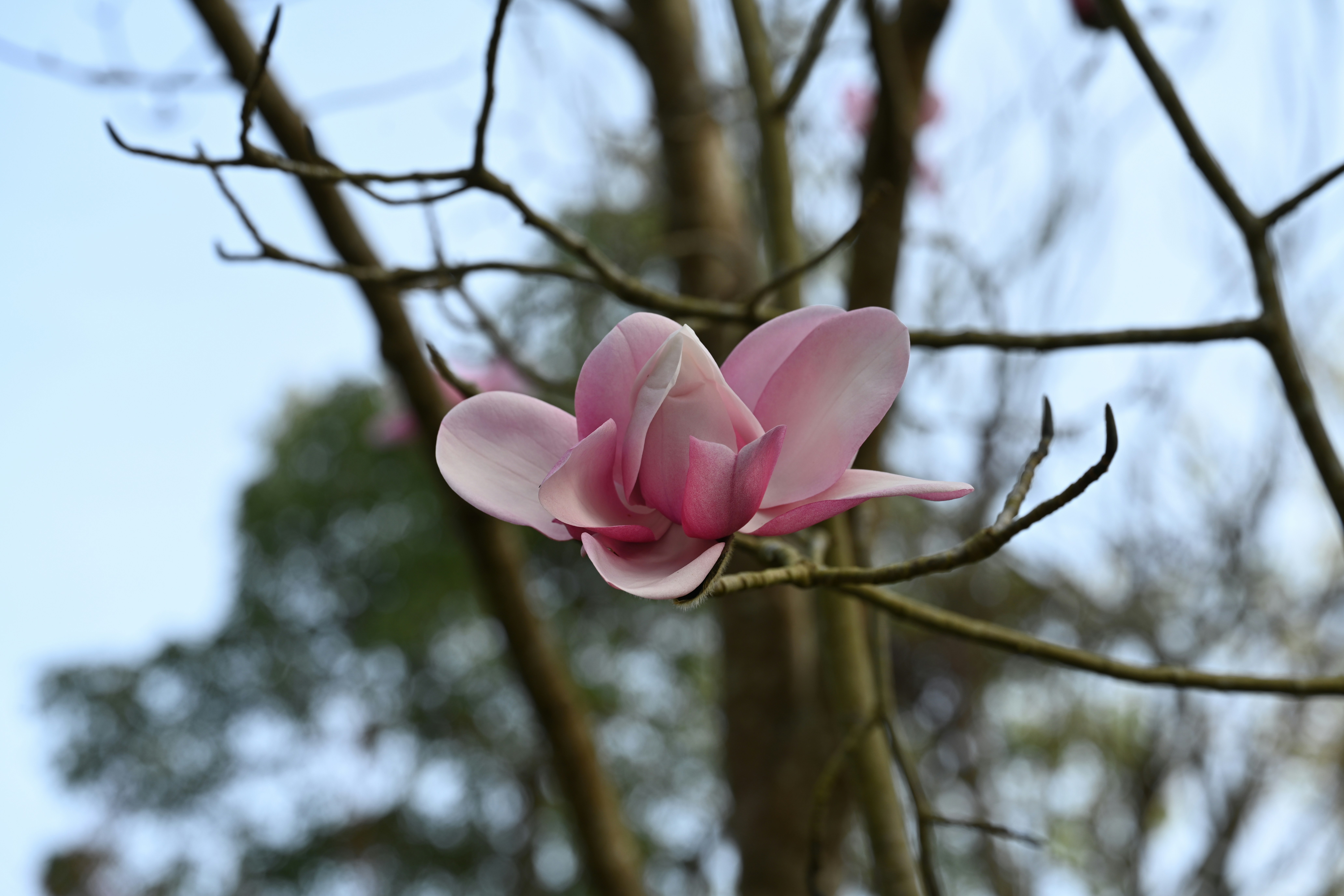 Photo by theunknownaldiaz