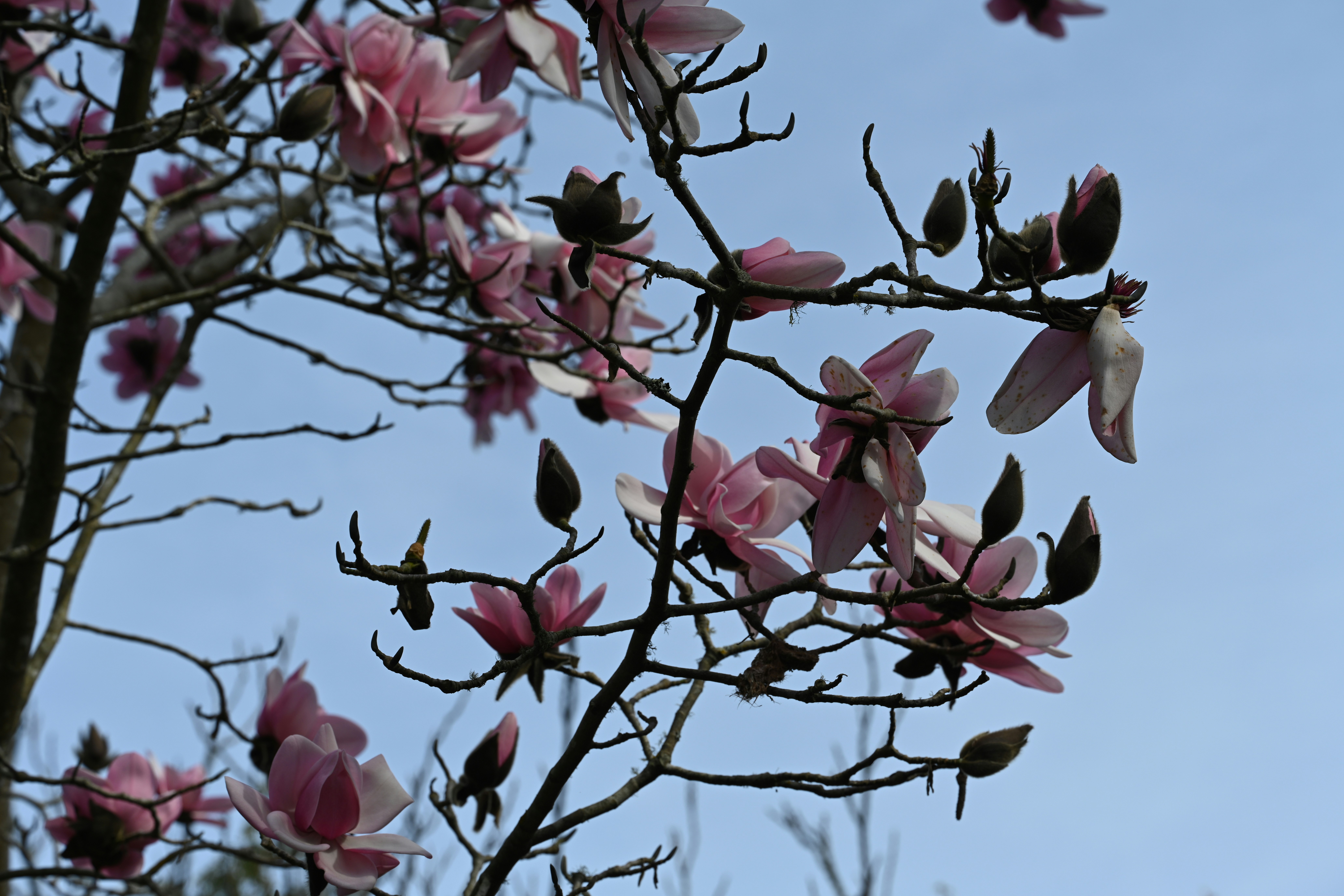 Photo by theunknownaldiaz