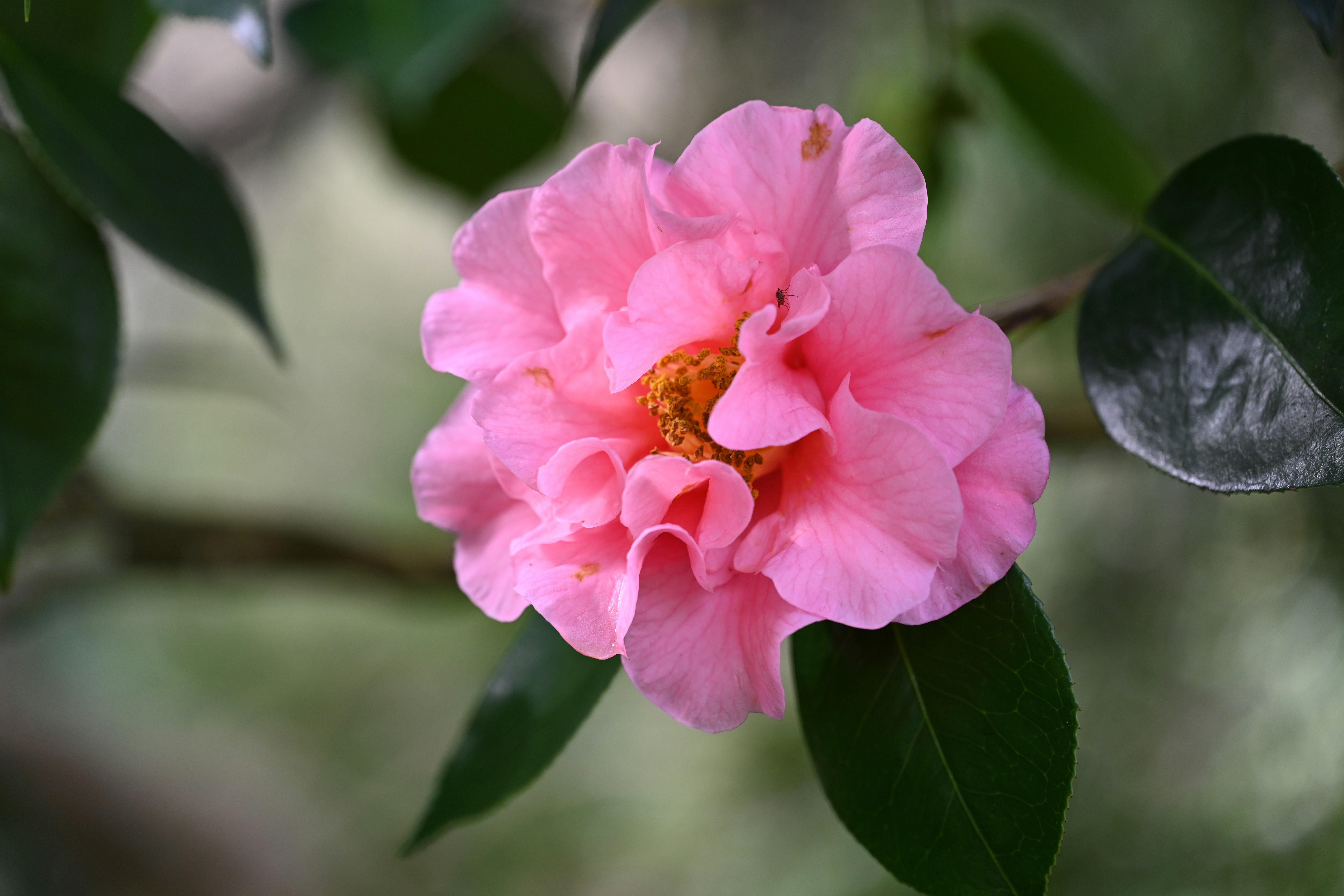 Photo by theunknownaldiaz