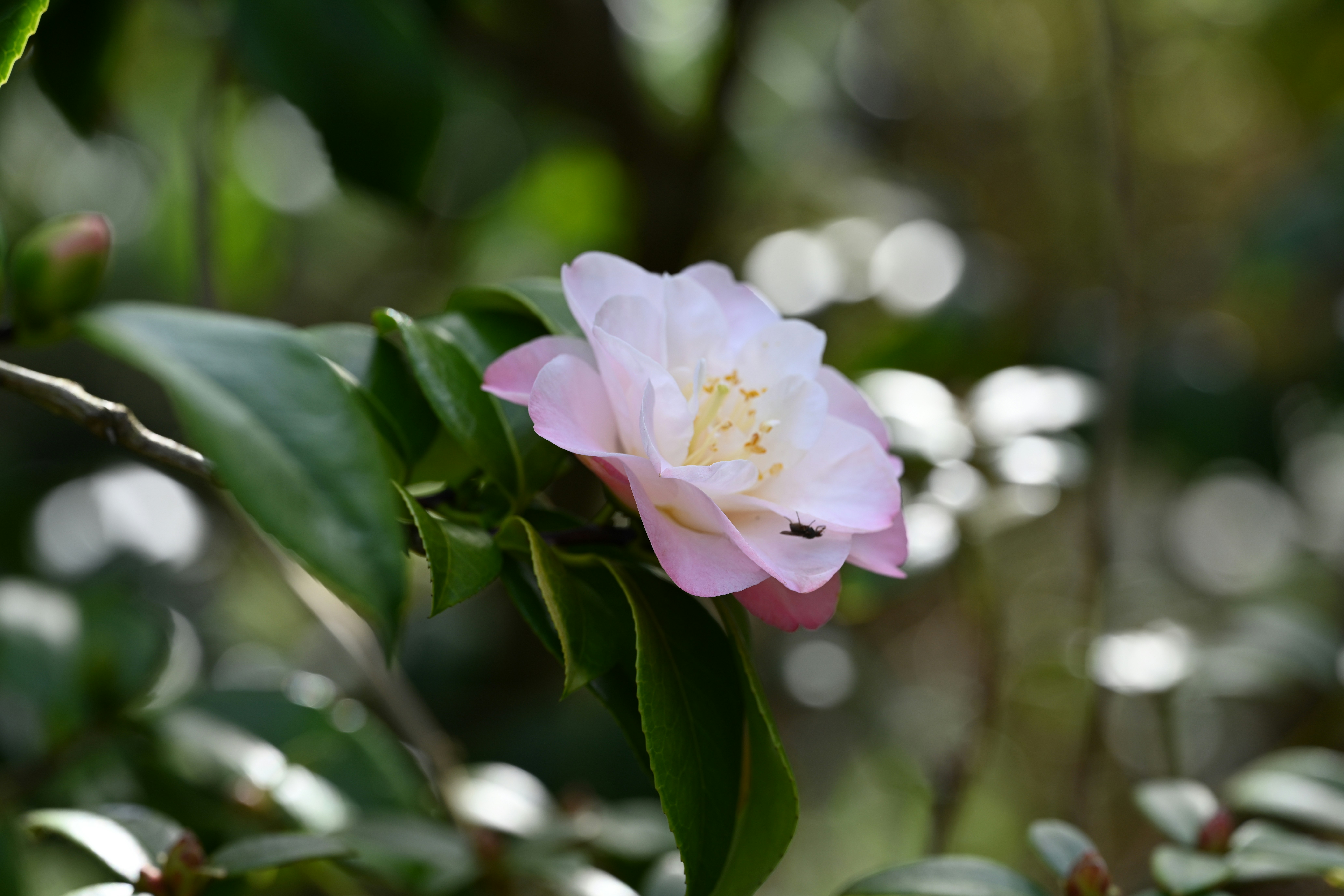 Photo by theunknownaldiaz