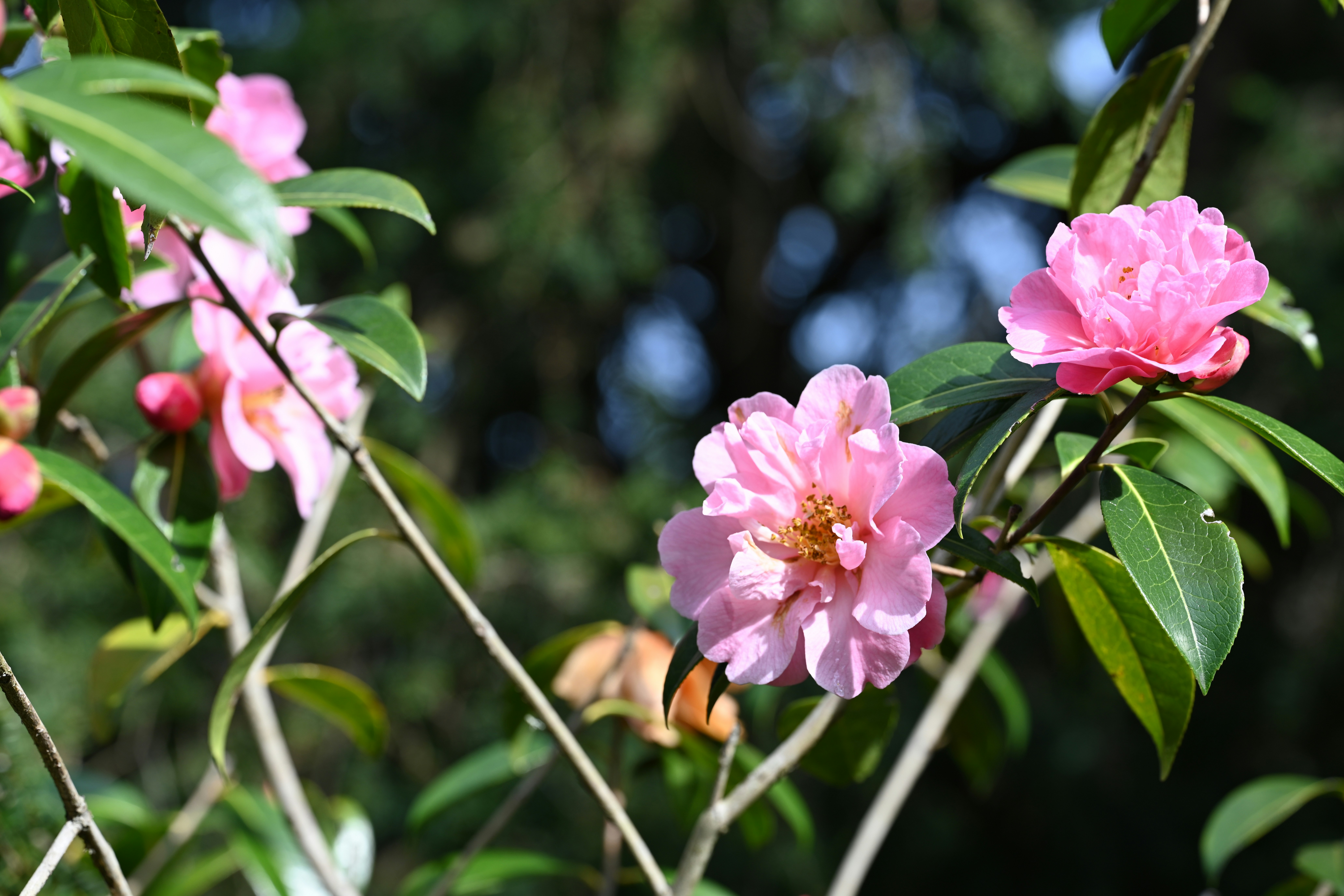 Photo by theunknownaldiaz