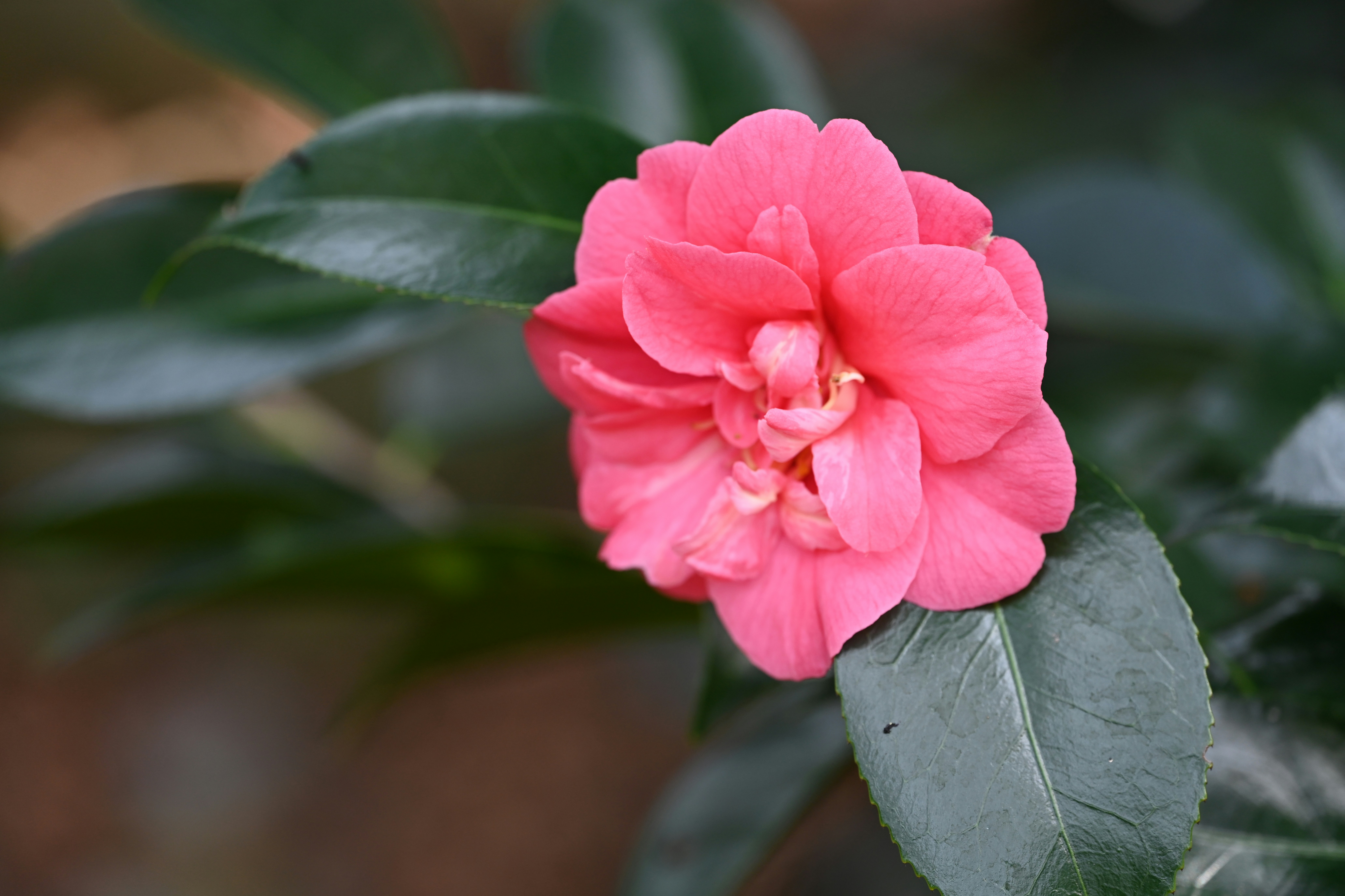 Photo by theunknownaldiaz