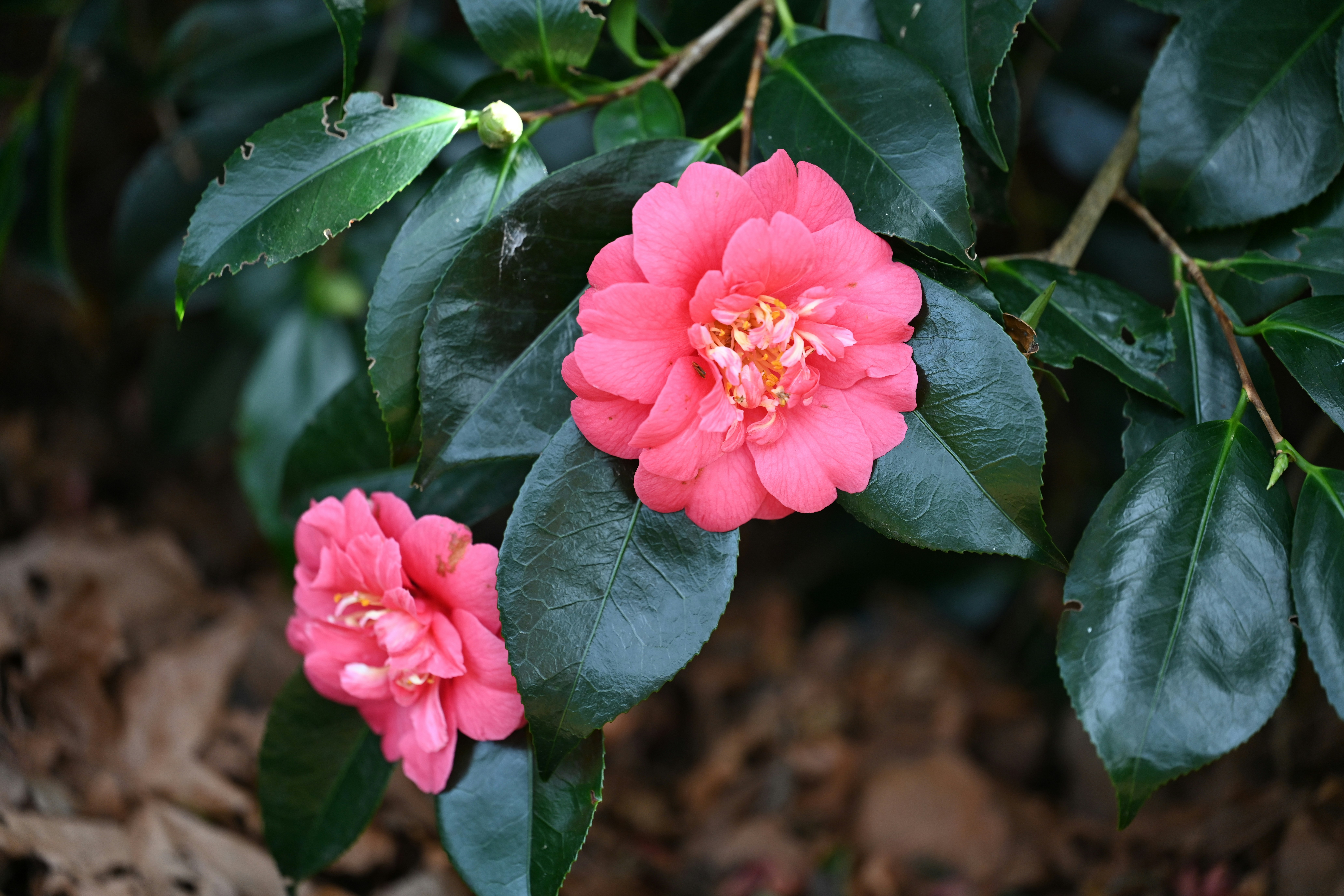 Photo by theunknownaldiaz