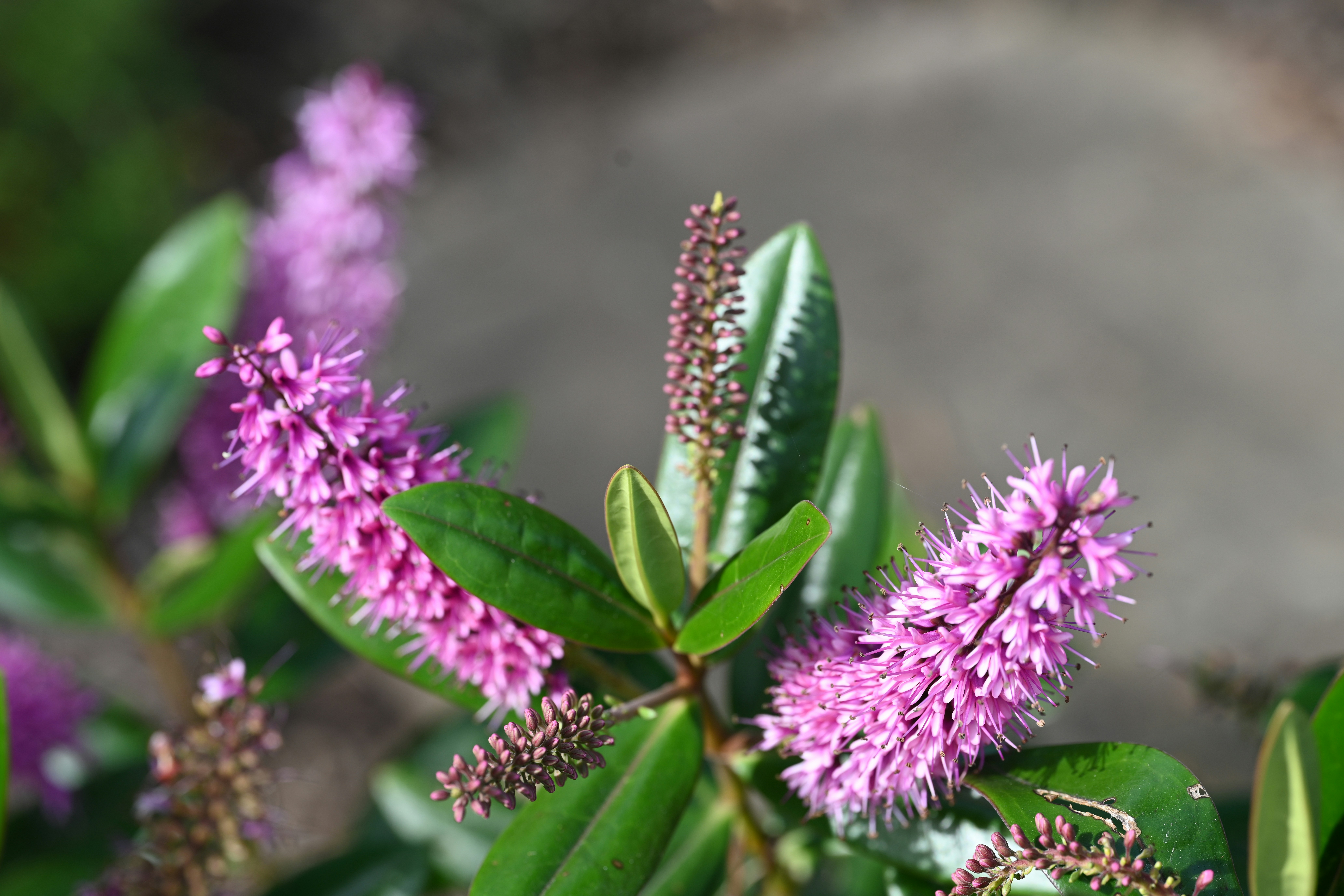 Photo by theunknownaldiaz