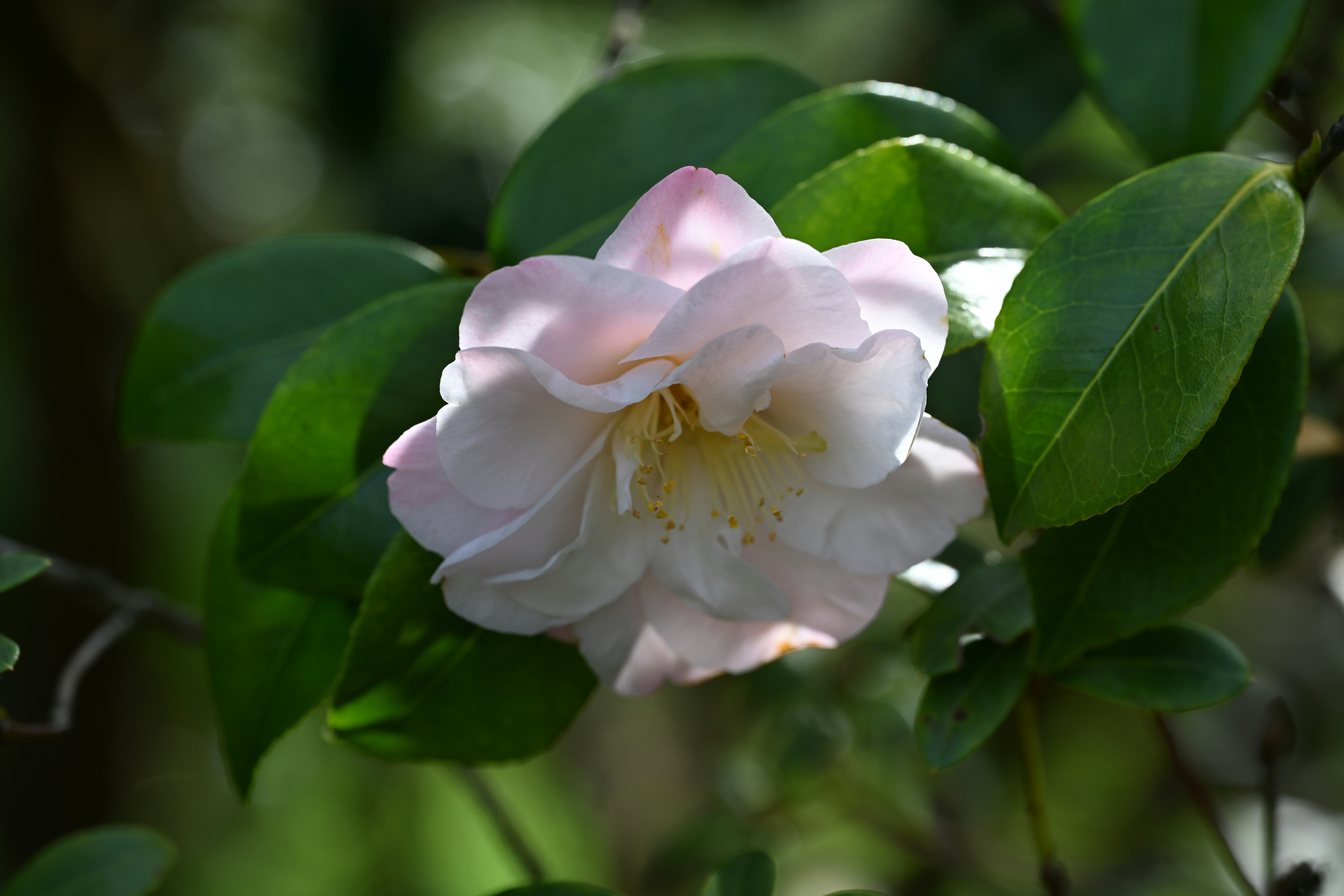 Photo by theunknownaldiaz