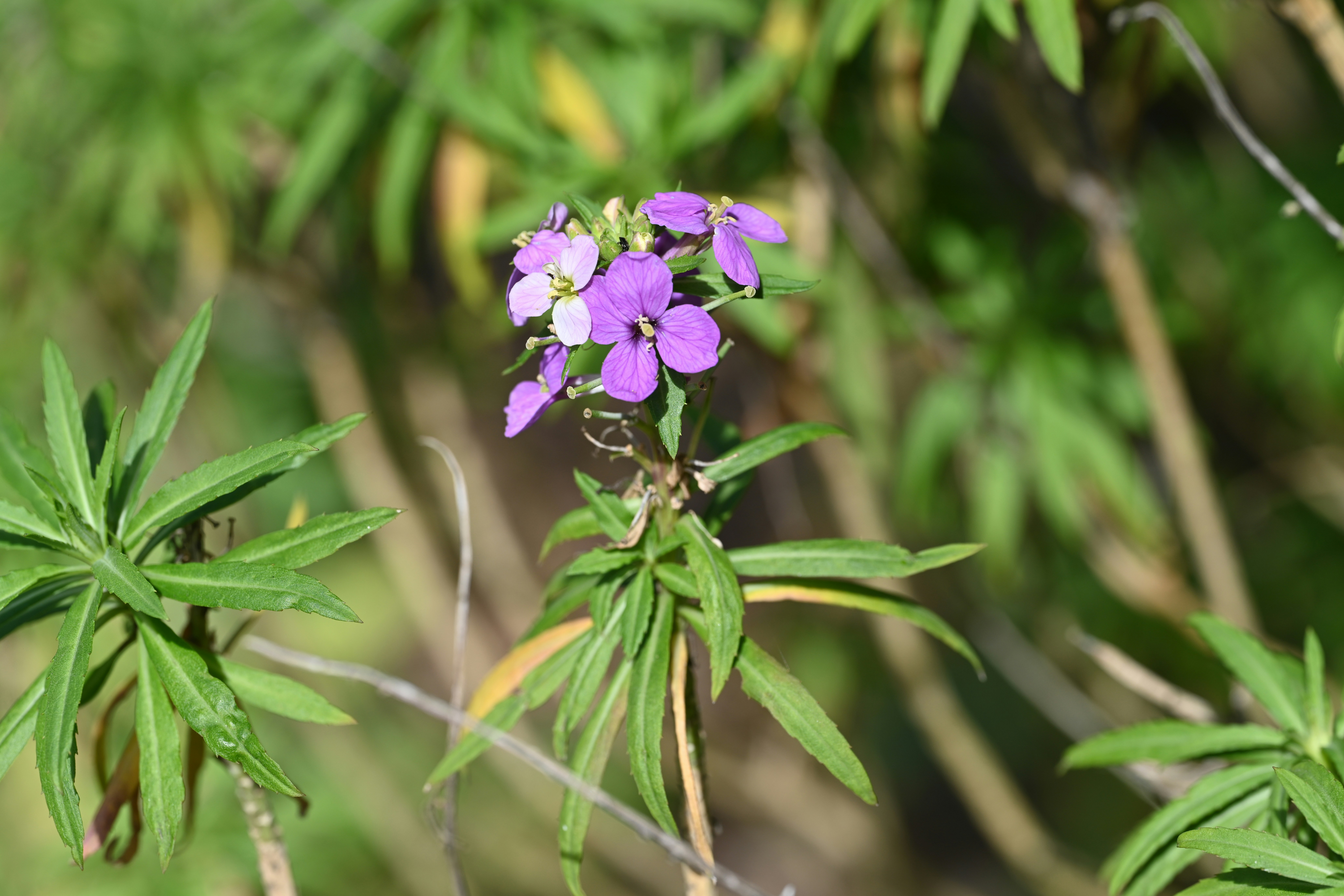 Photo by theunknownaldiaz