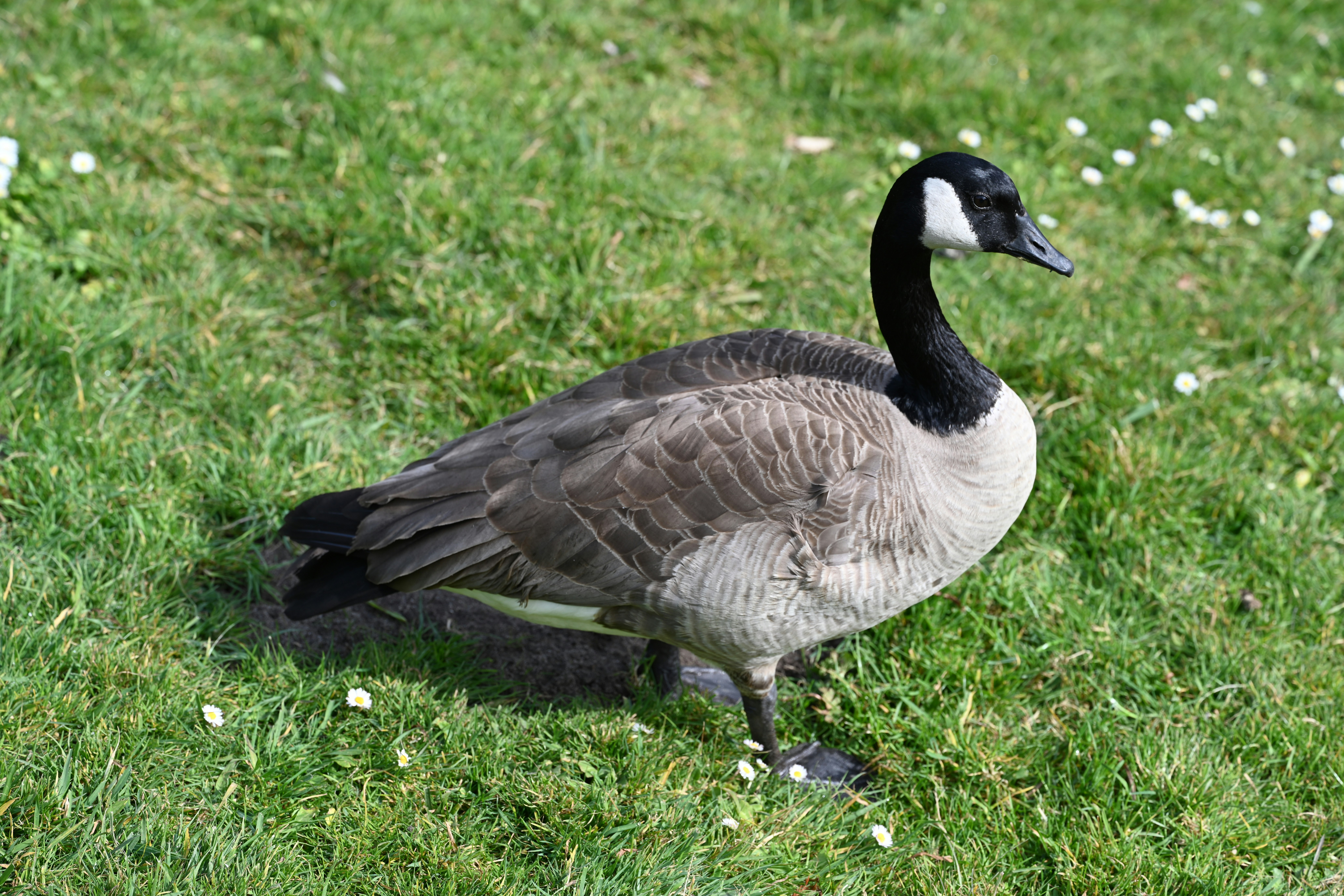 Photo by theunknownaldiaz