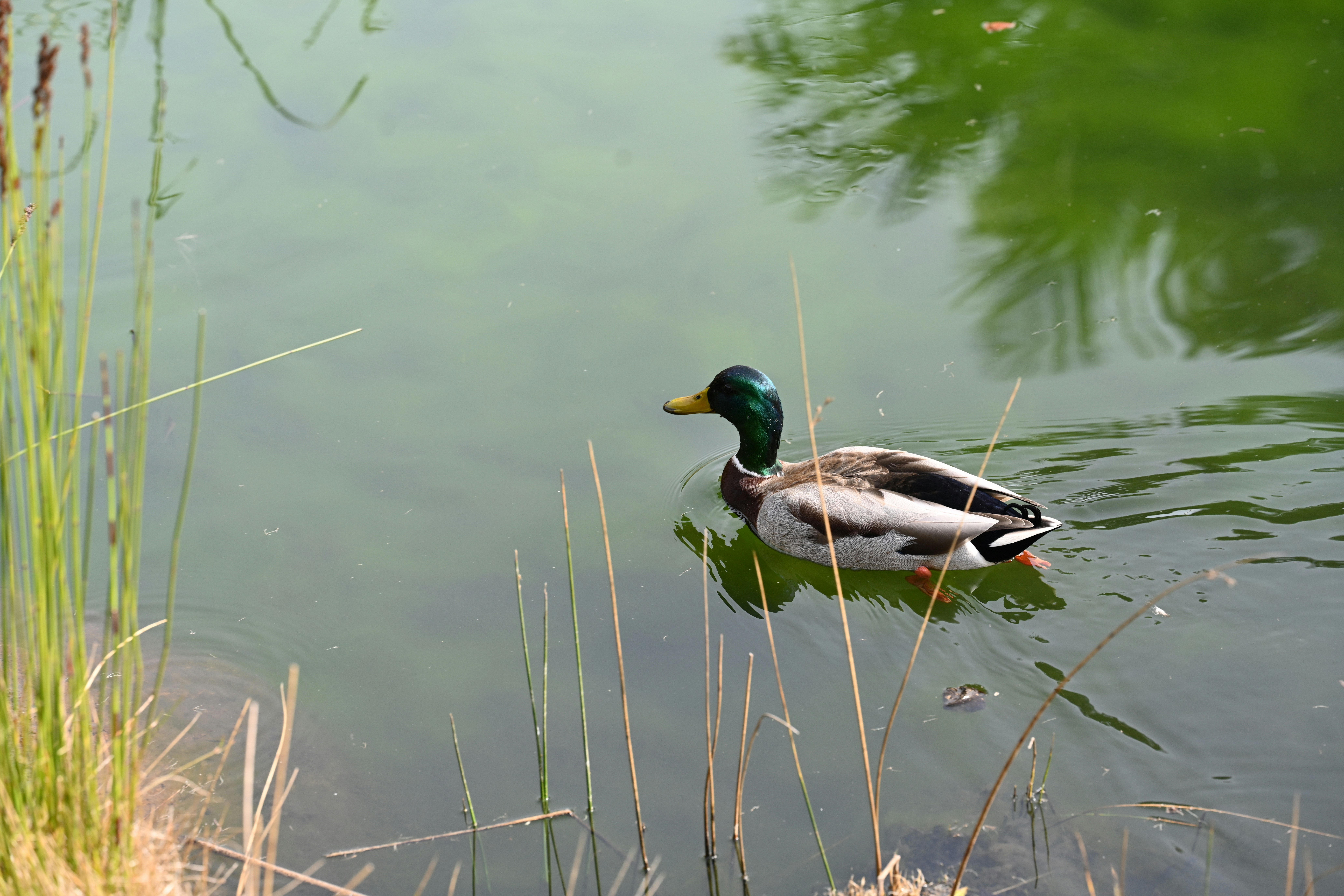 Photo by theunknownaldiaz