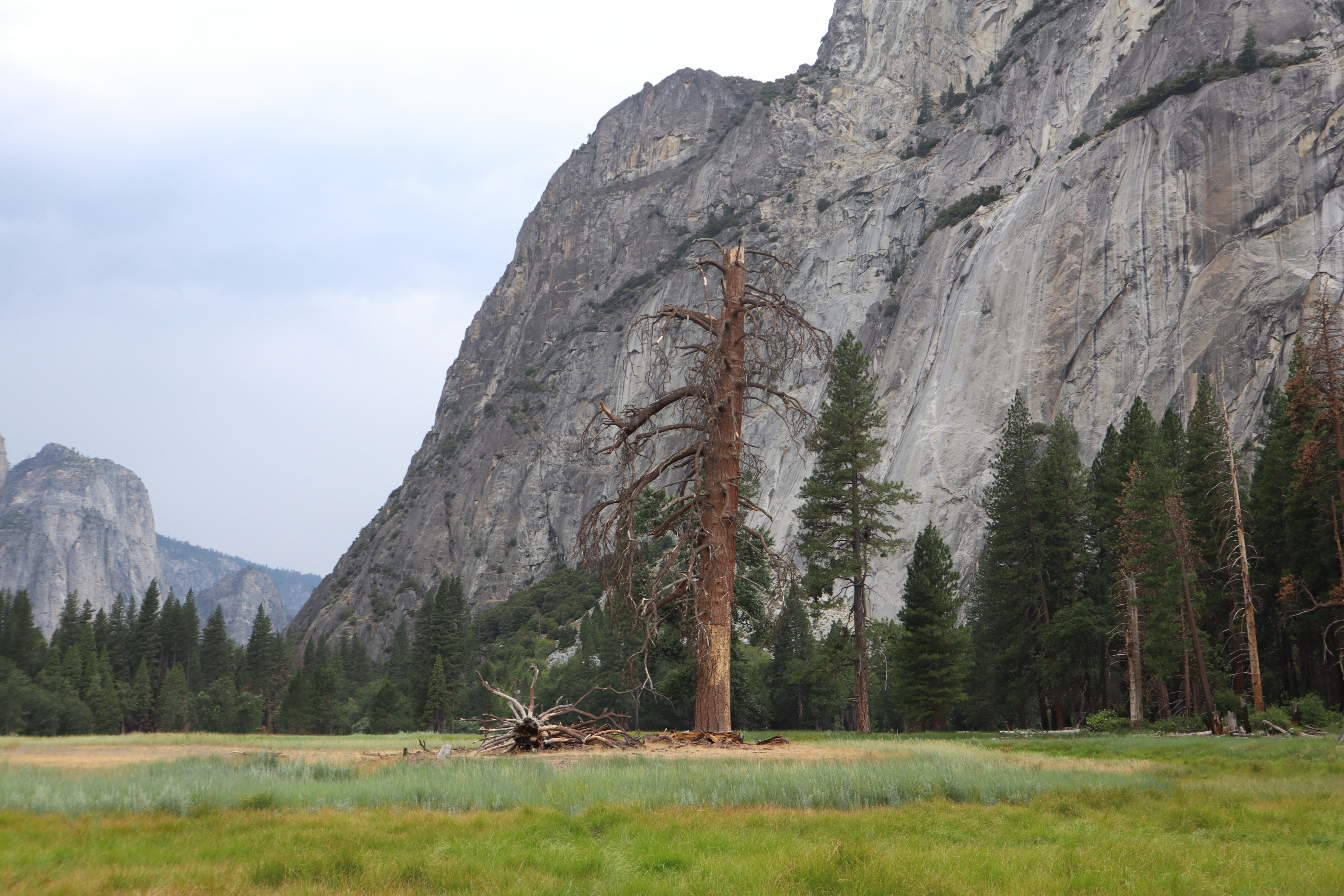 Photo by echigo_echie