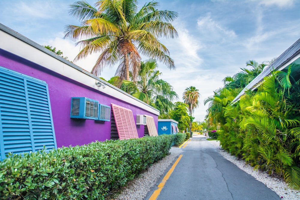 a street lined with palm trees next to a purple building