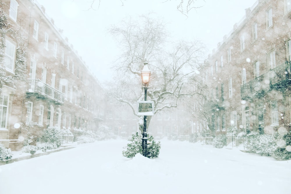 a street light in the middle of a snowy street
