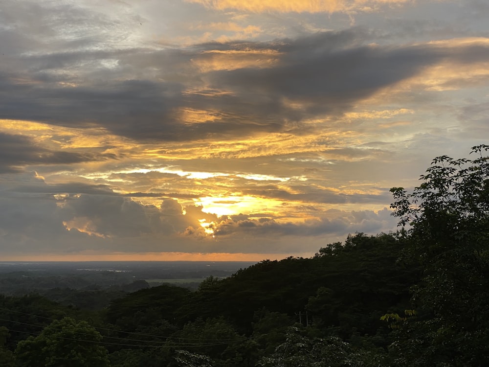 the sun is setting over a forested area