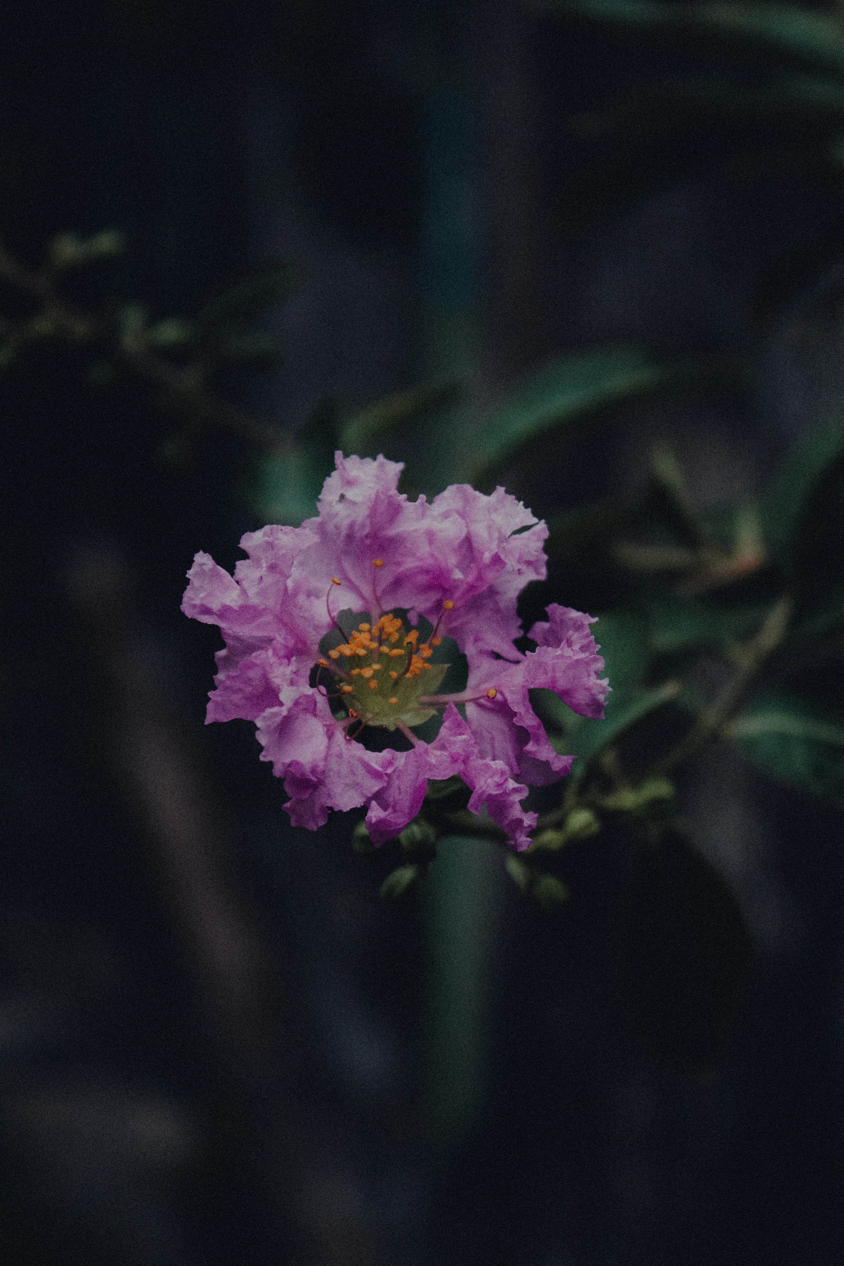 Photo by kanishk_ag