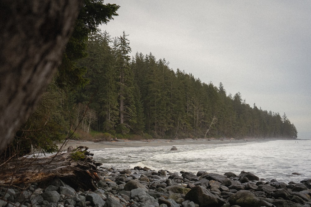 a rocky beach with trees and a boat in the water