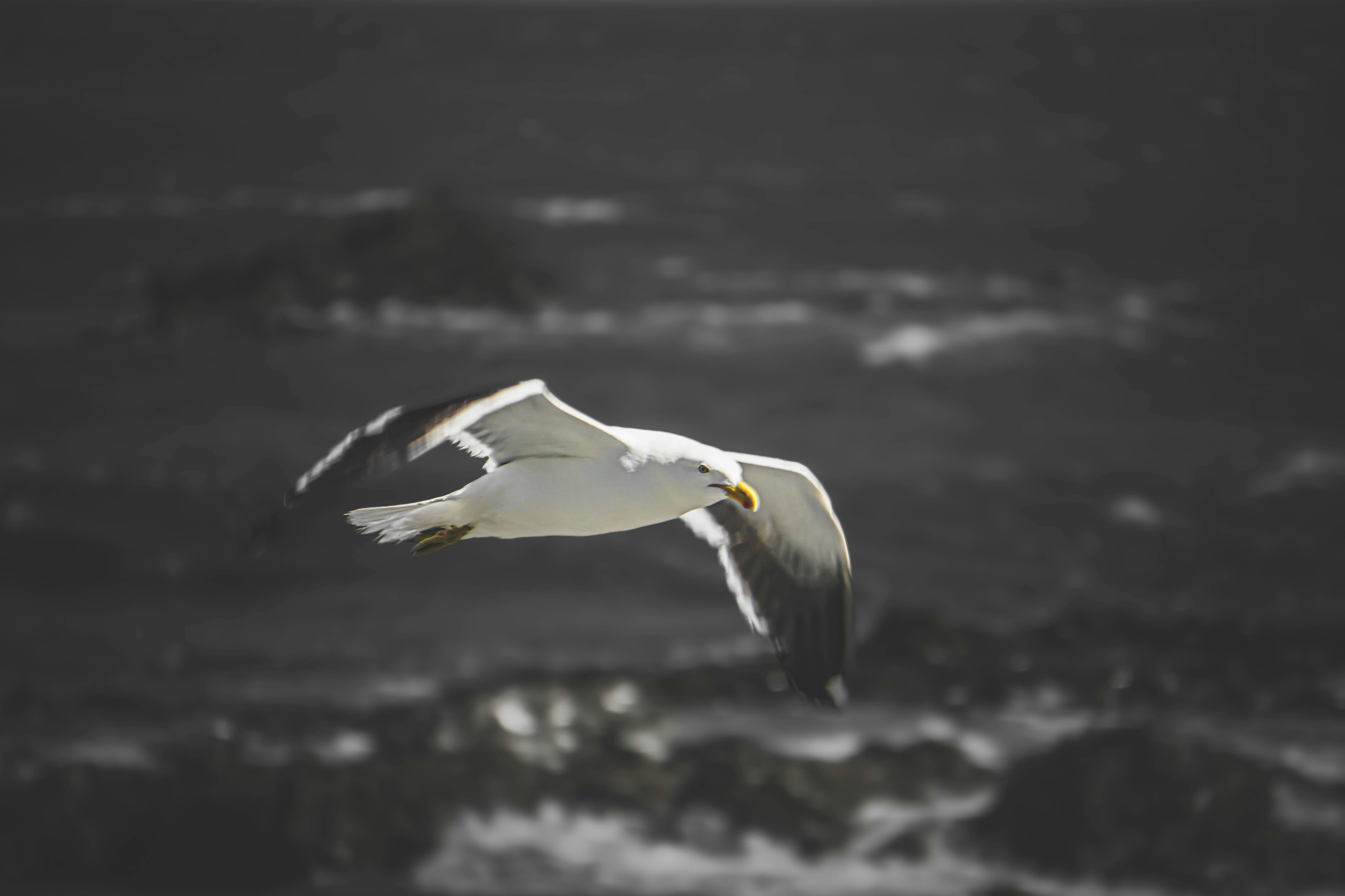 Photo by nature_photography_by_luca