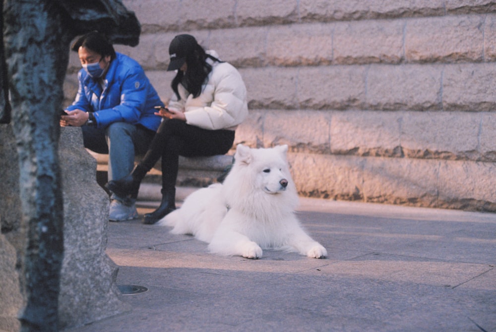 a woman sitting on a bench next to a white dog