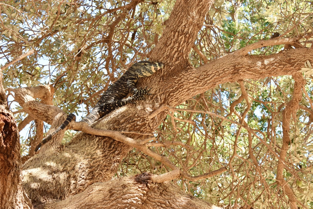 Un pájaro sentado en una rama de un árbol