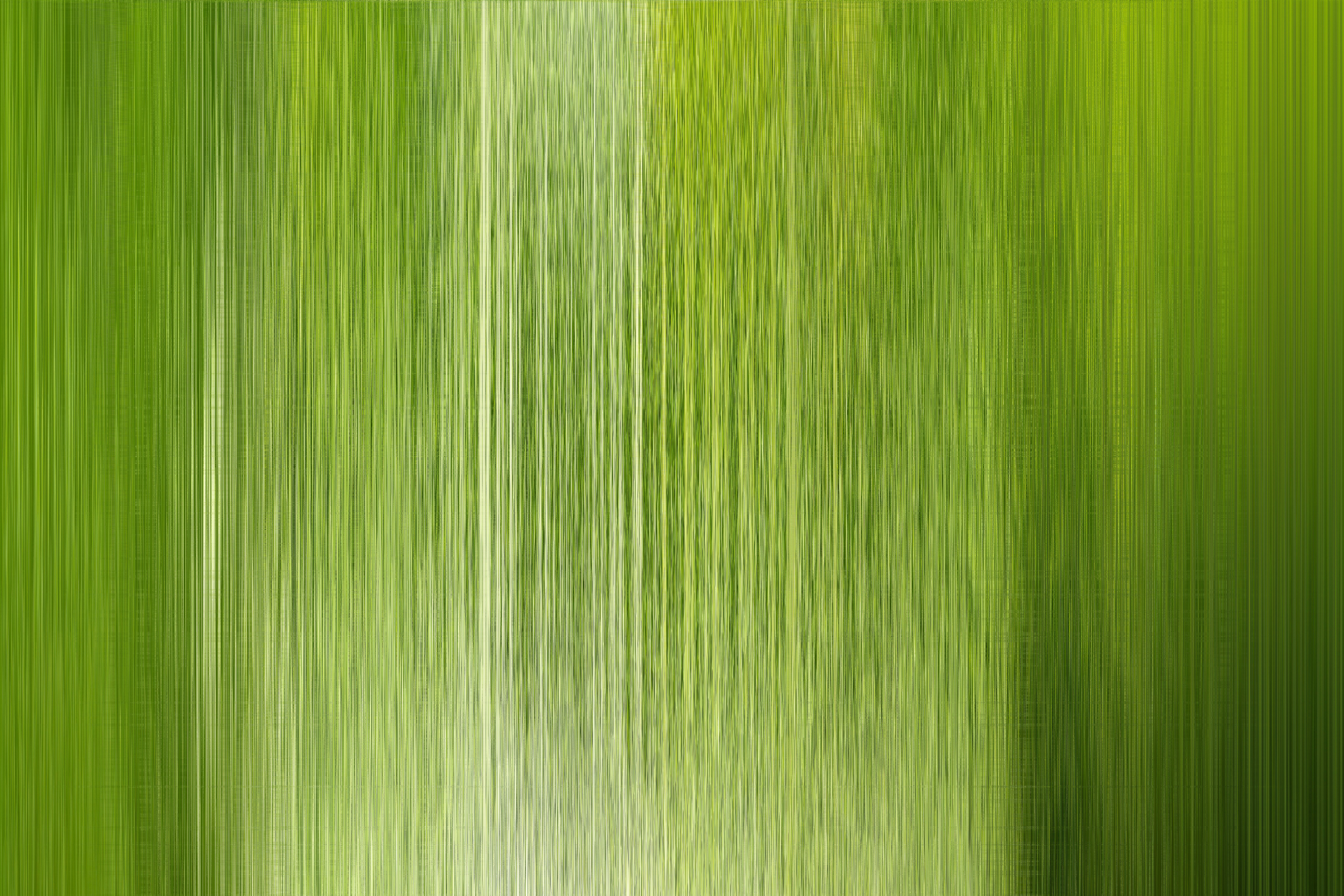 une image floue d’un arrière-plan vert