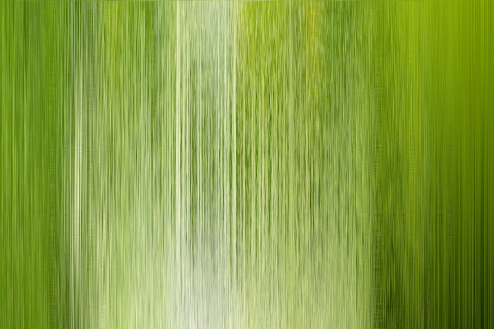 a blurry image of a green background