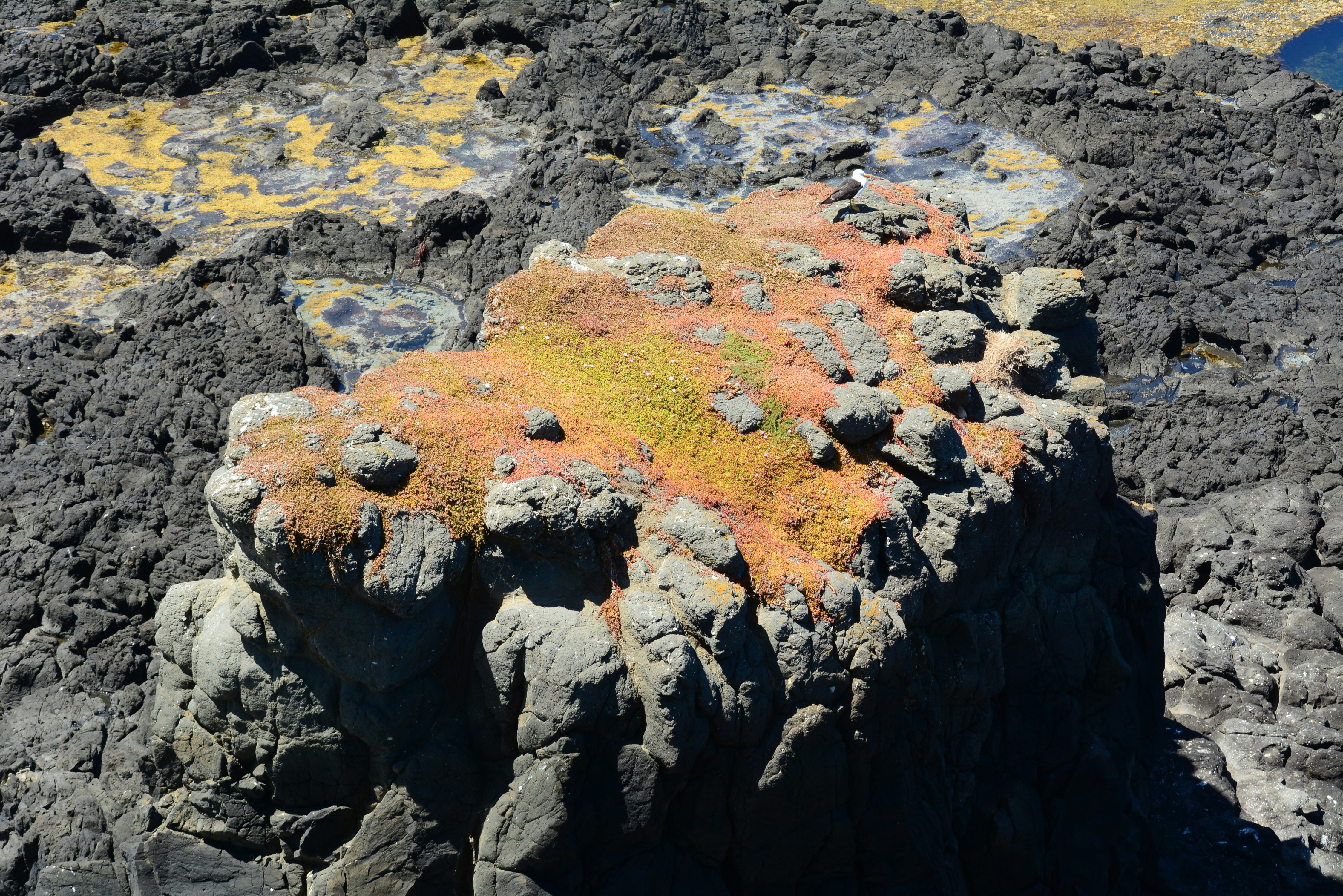 Photo by richard7seals