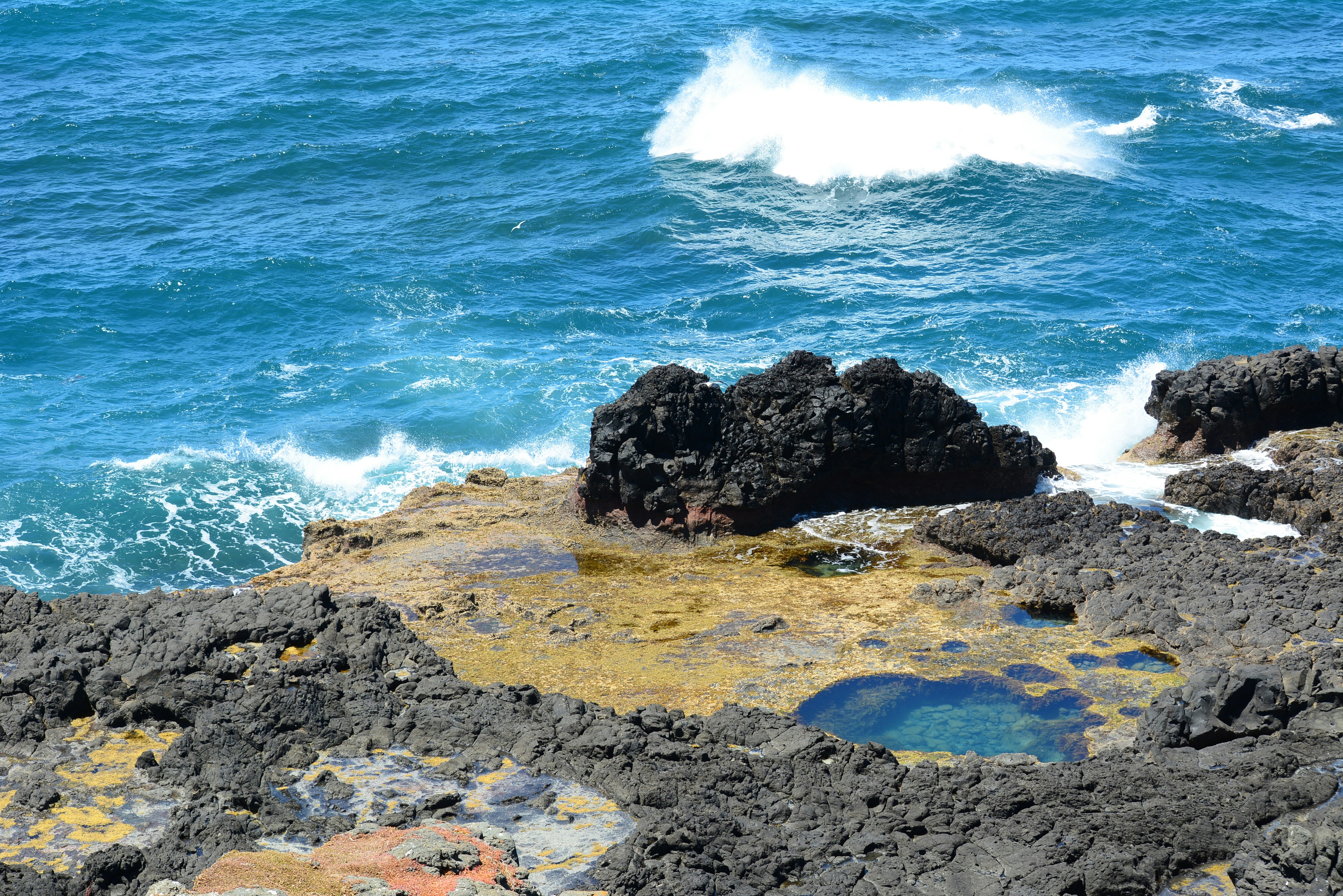 Photo by richard7seals