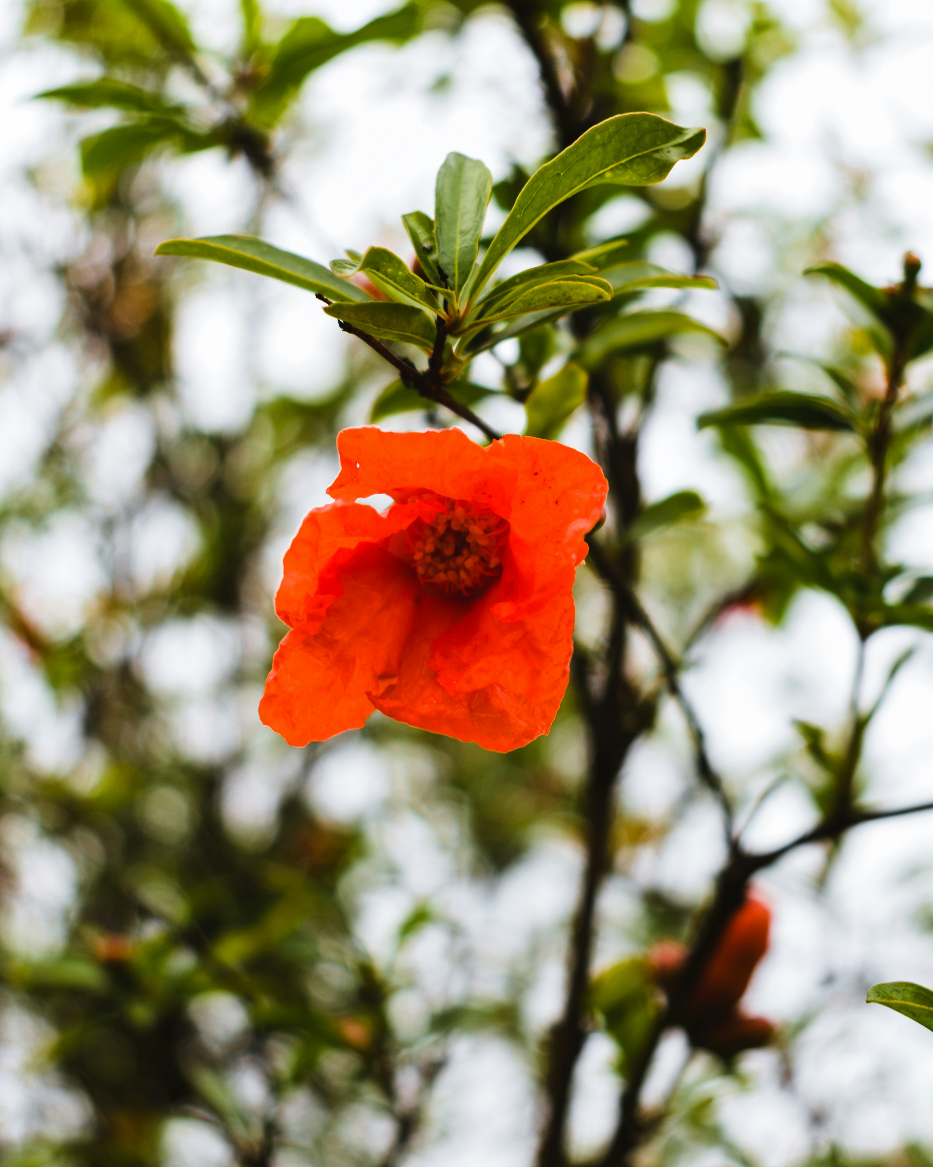 Photo by subtlyshashank