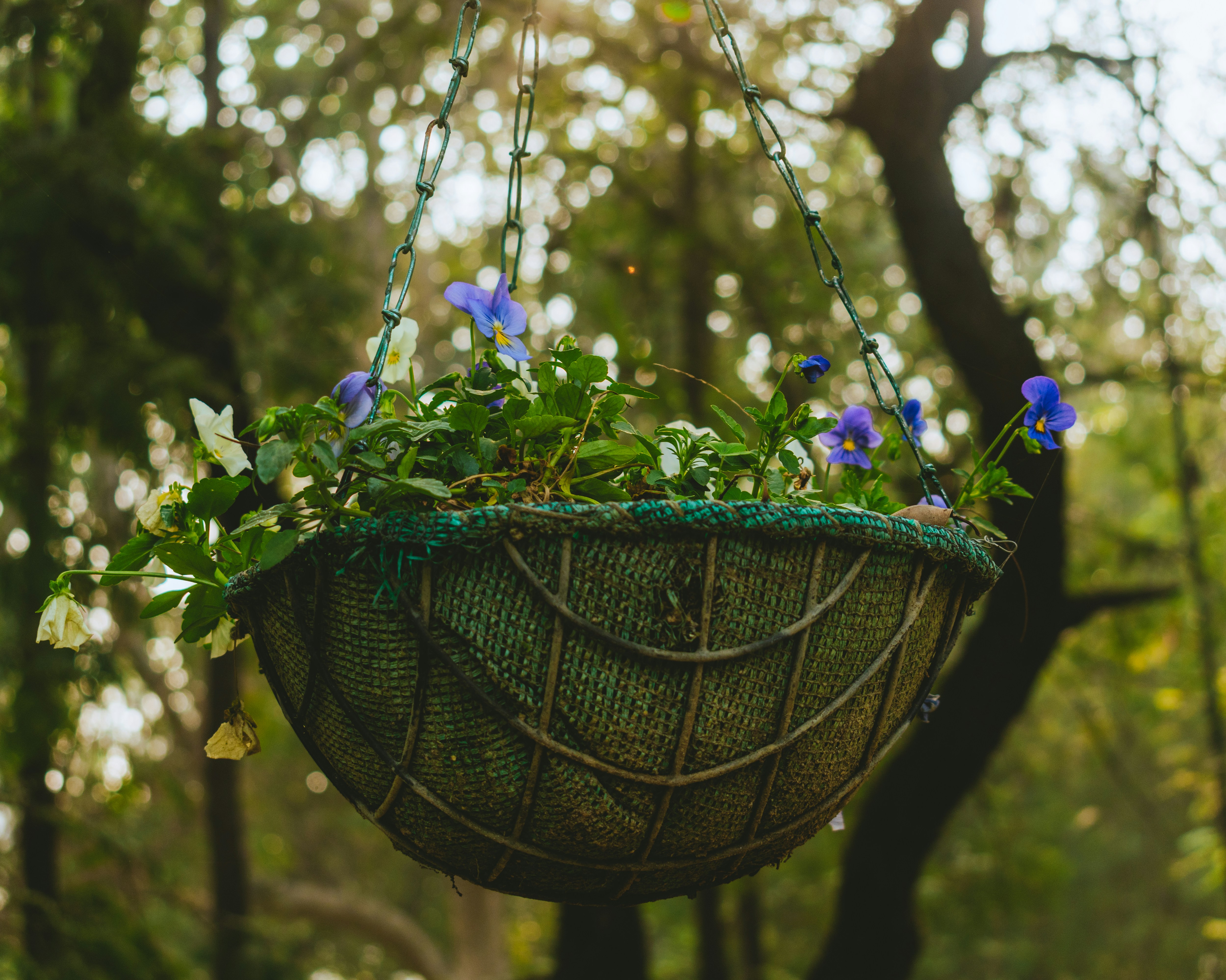 Photo by subtlyshashank