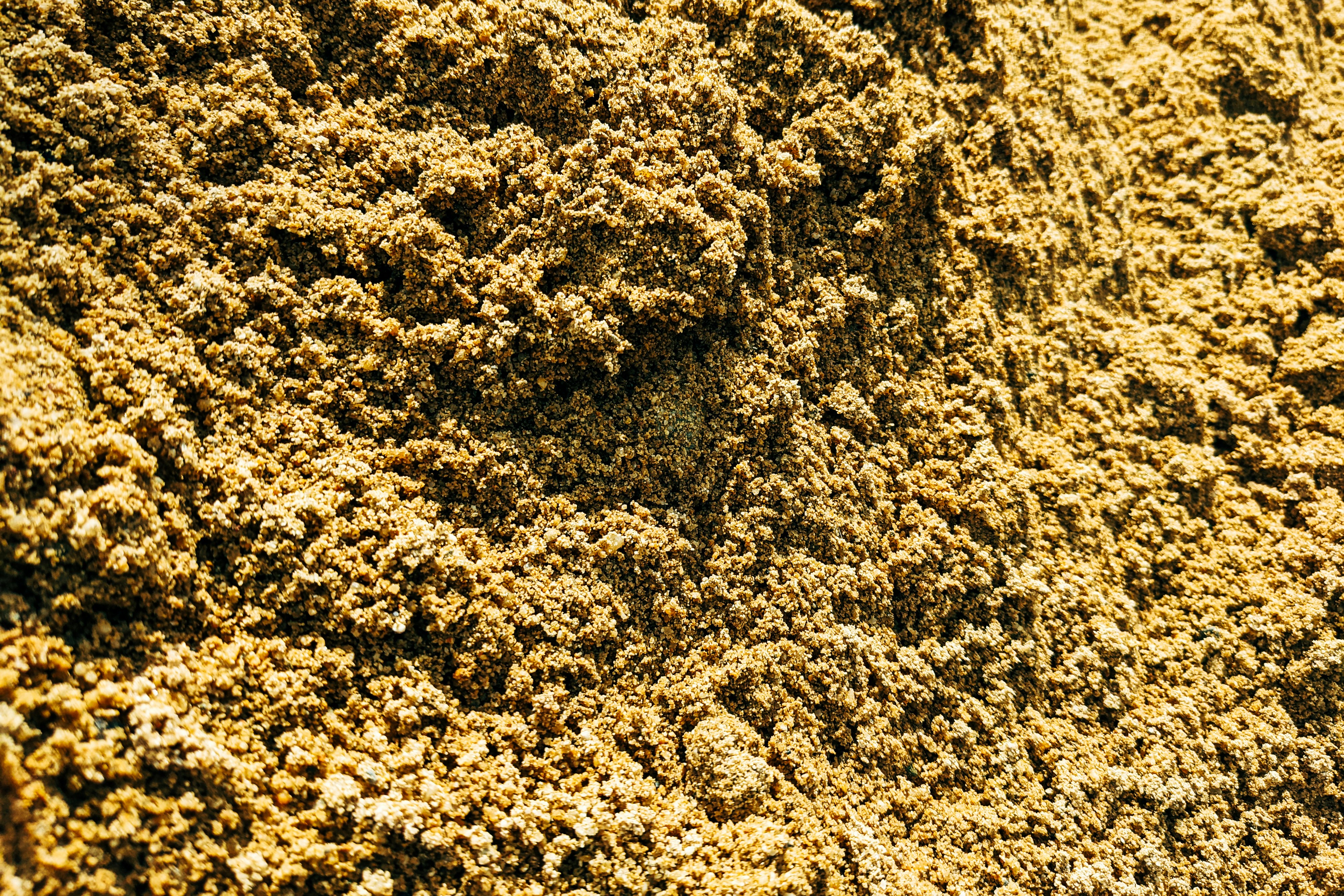 Photo by markuswinkler