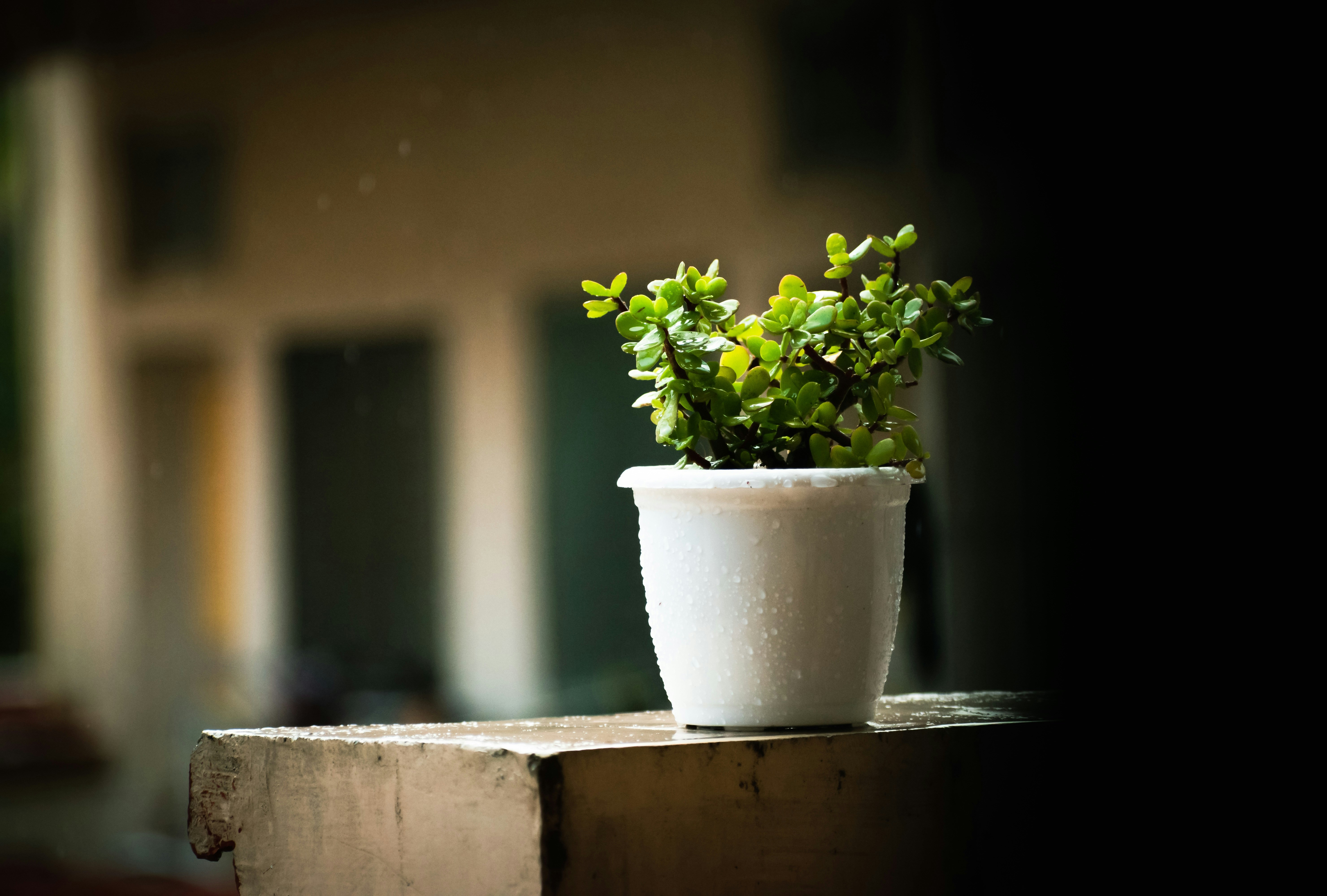 Photo by dimensionless_wing