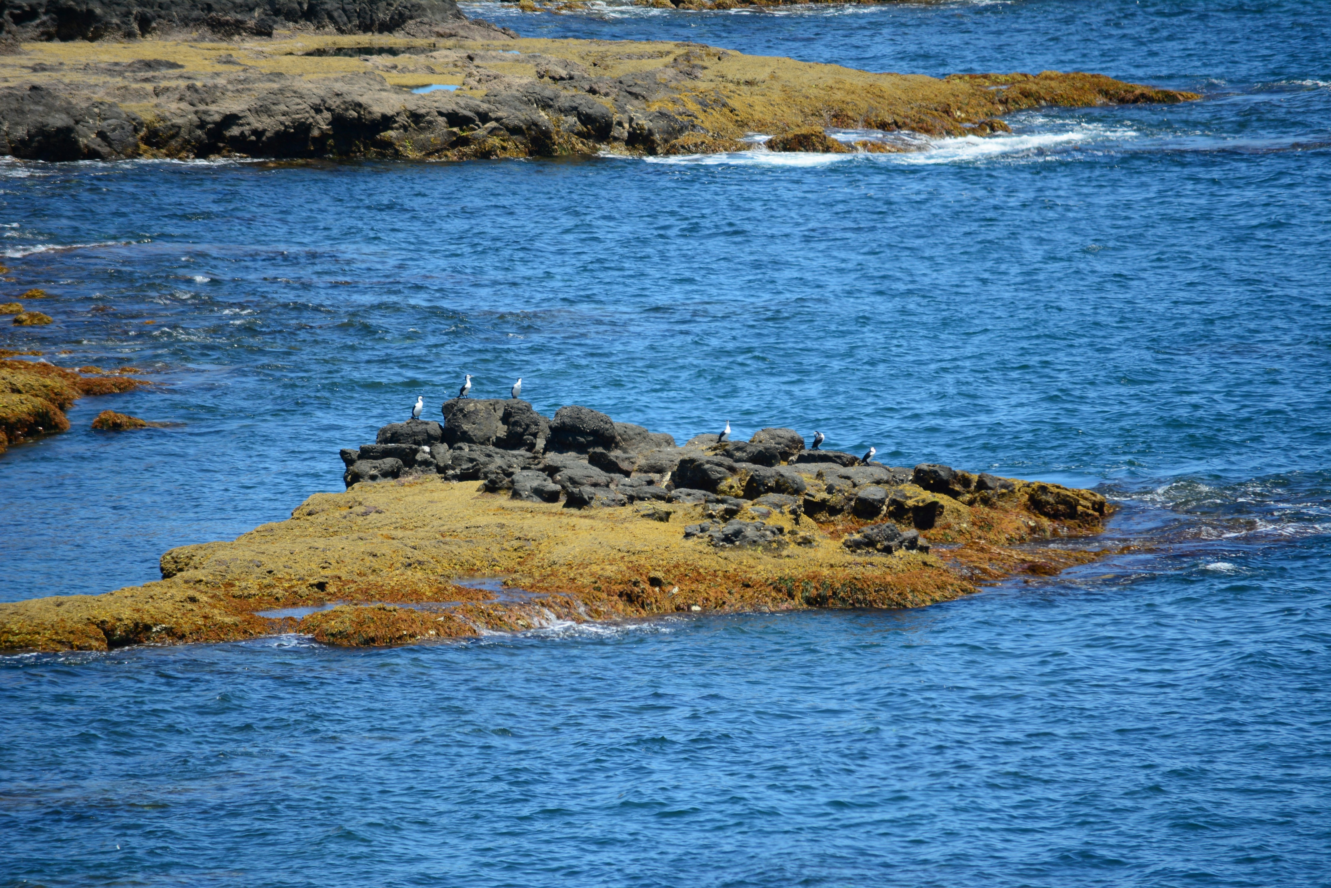 Photo by richard7seals