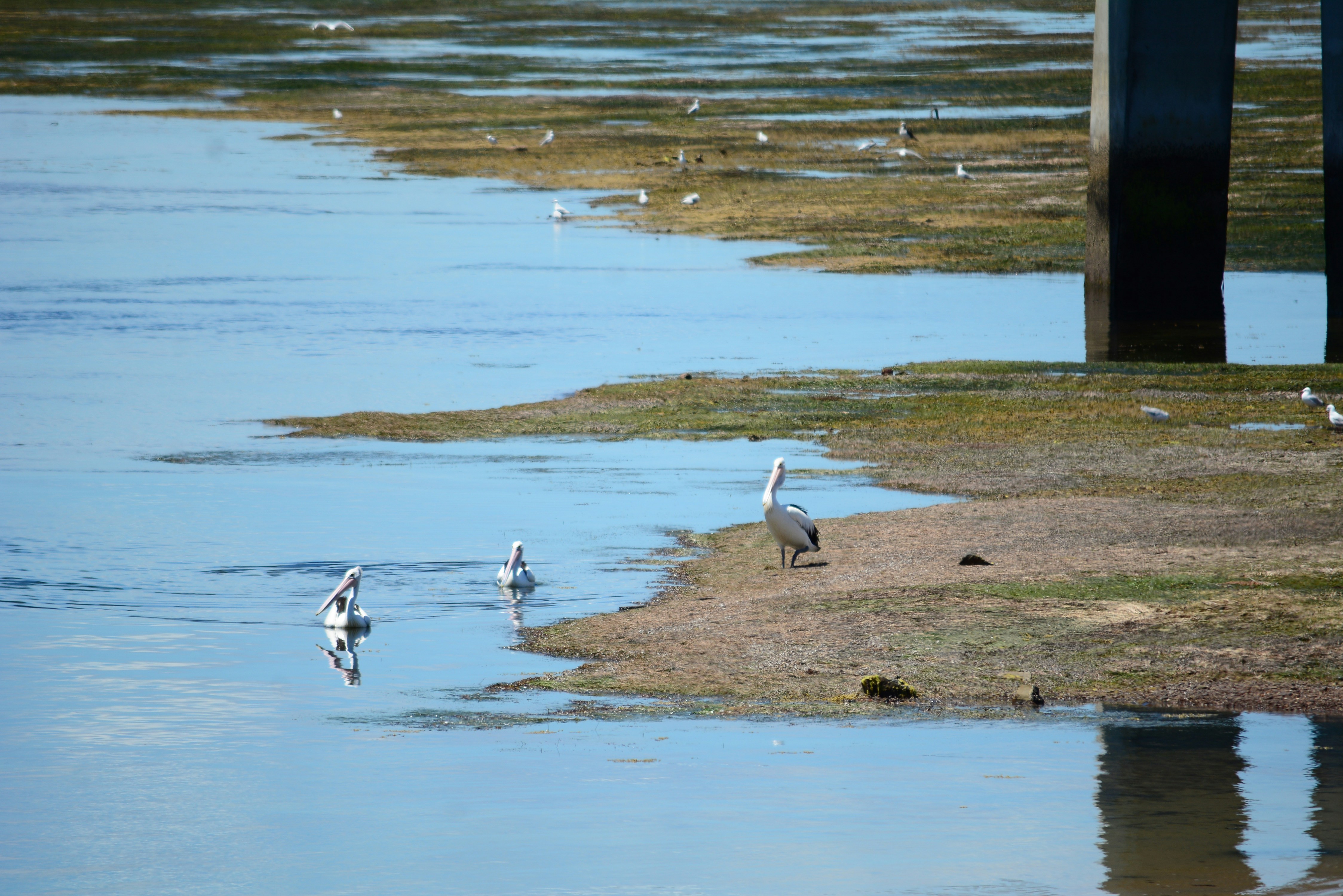 Photo by richard7seals