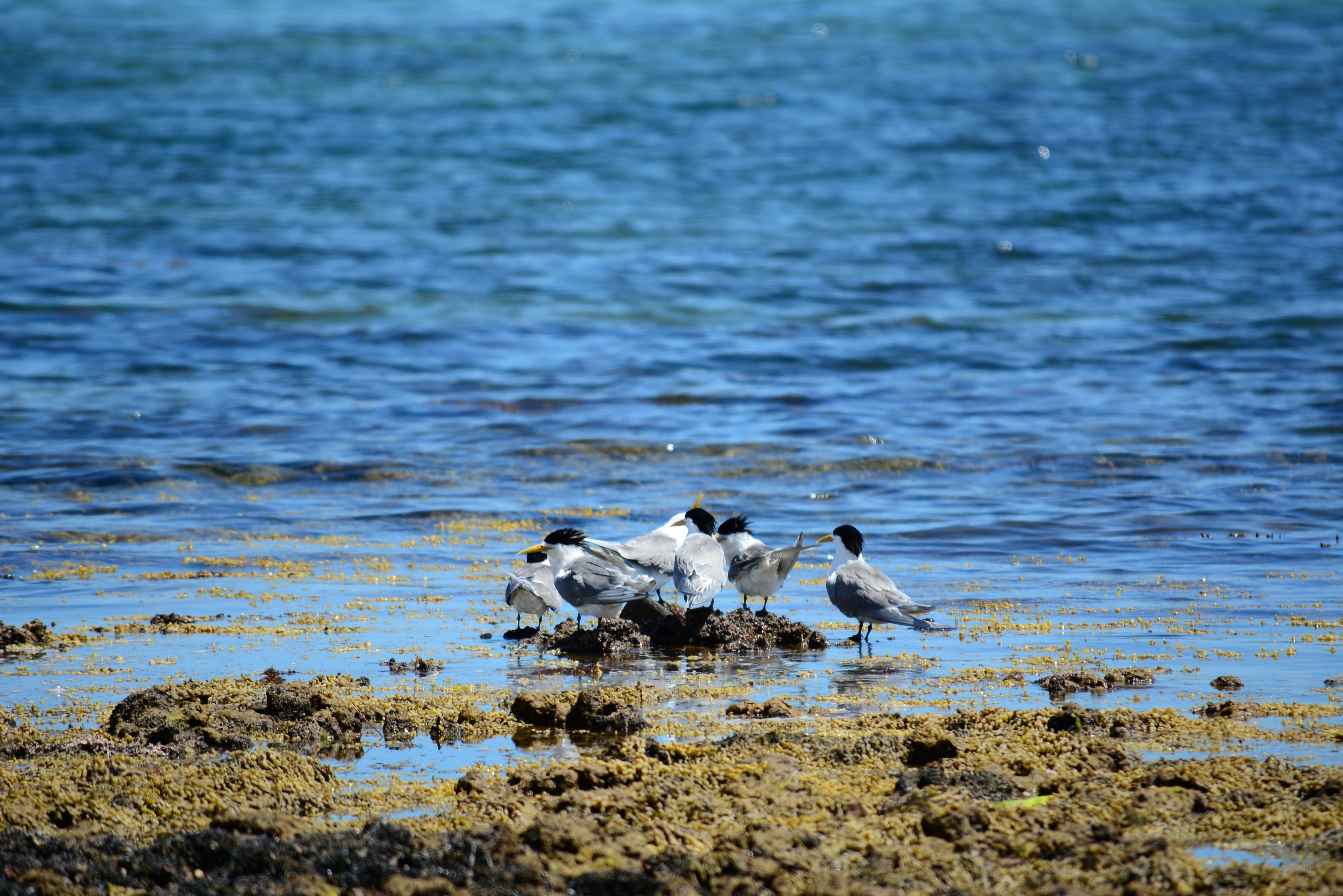 Photo by richard7seals