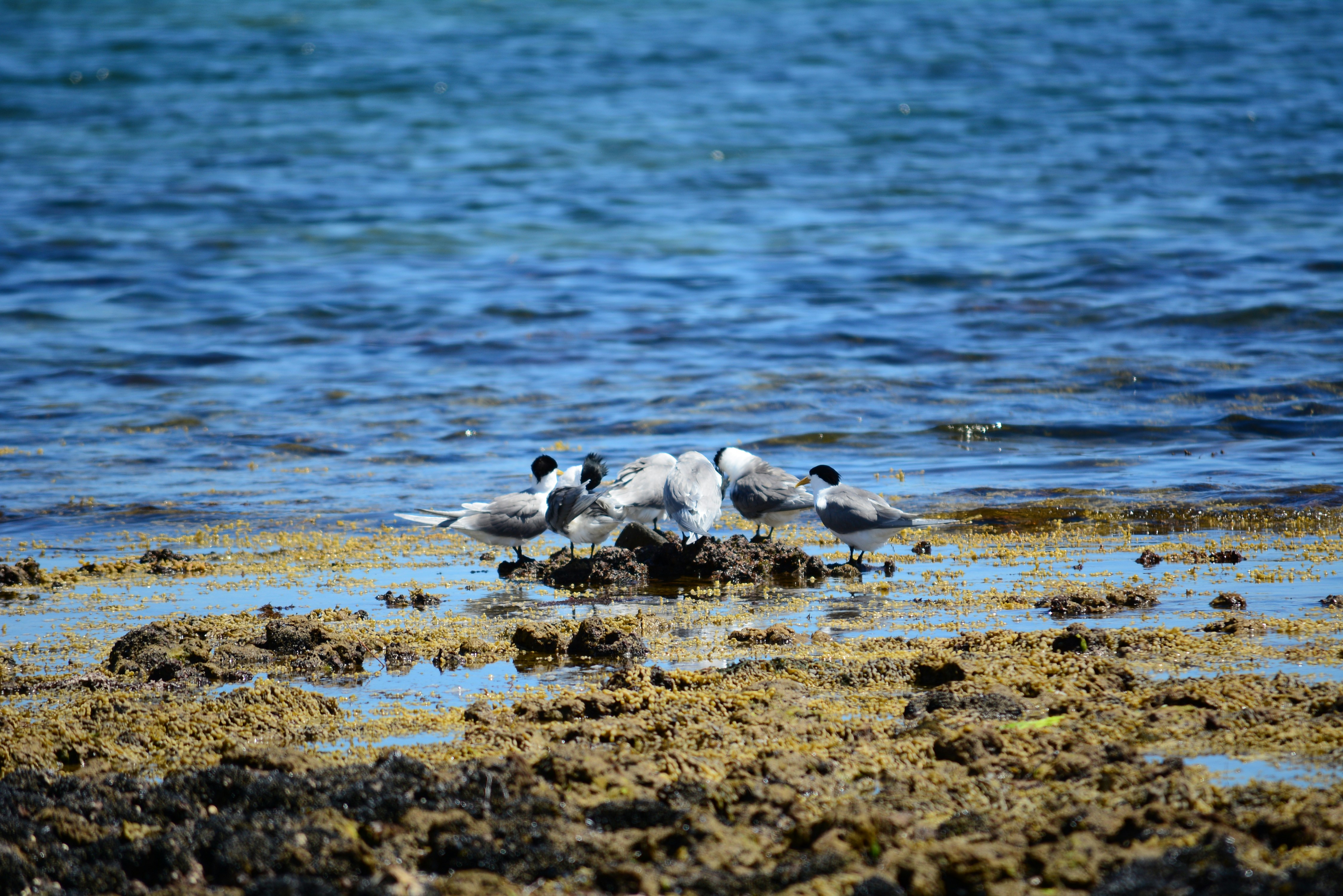 Photo by richard7seals