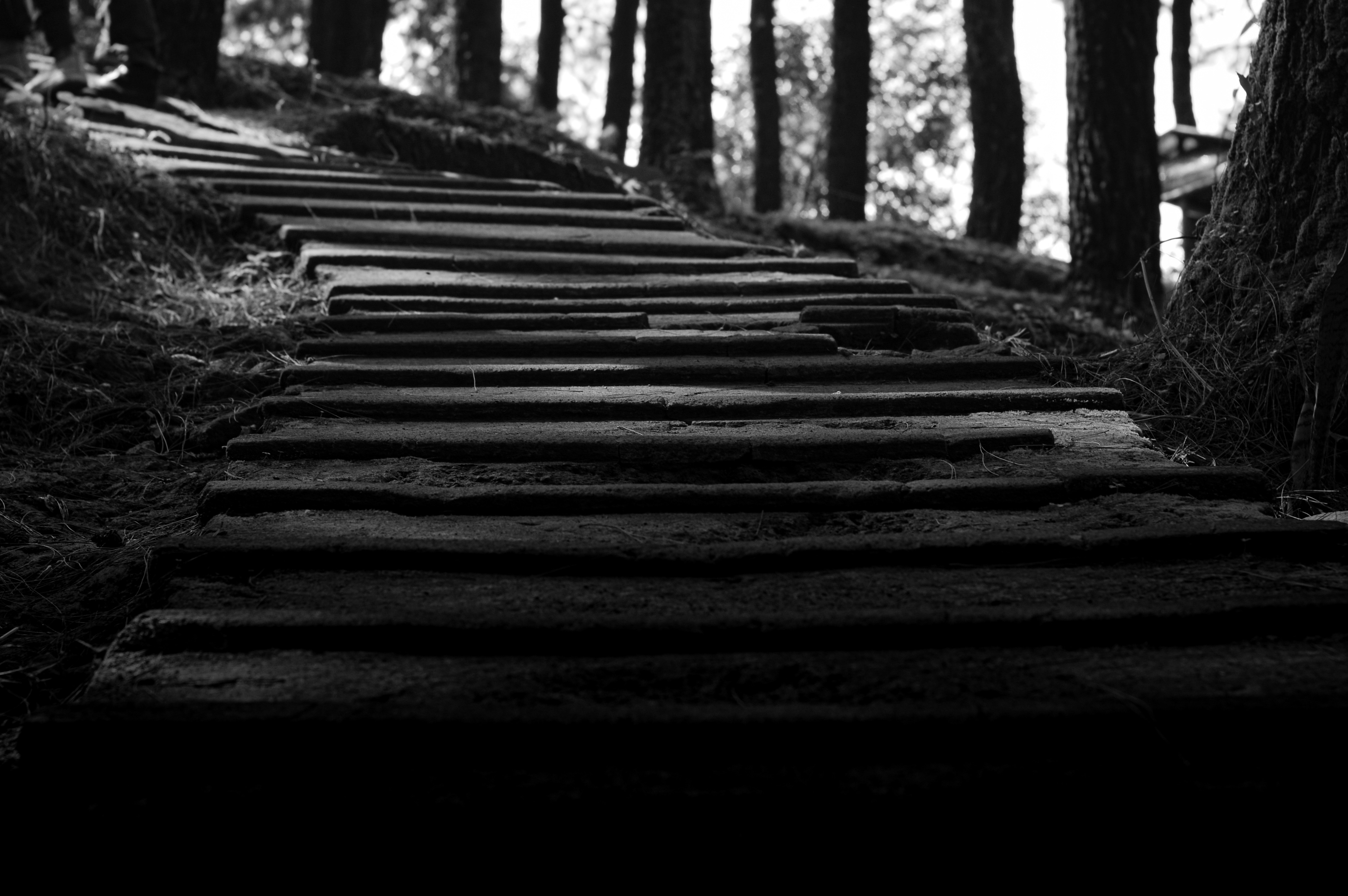 Photo by dwiasysyafa