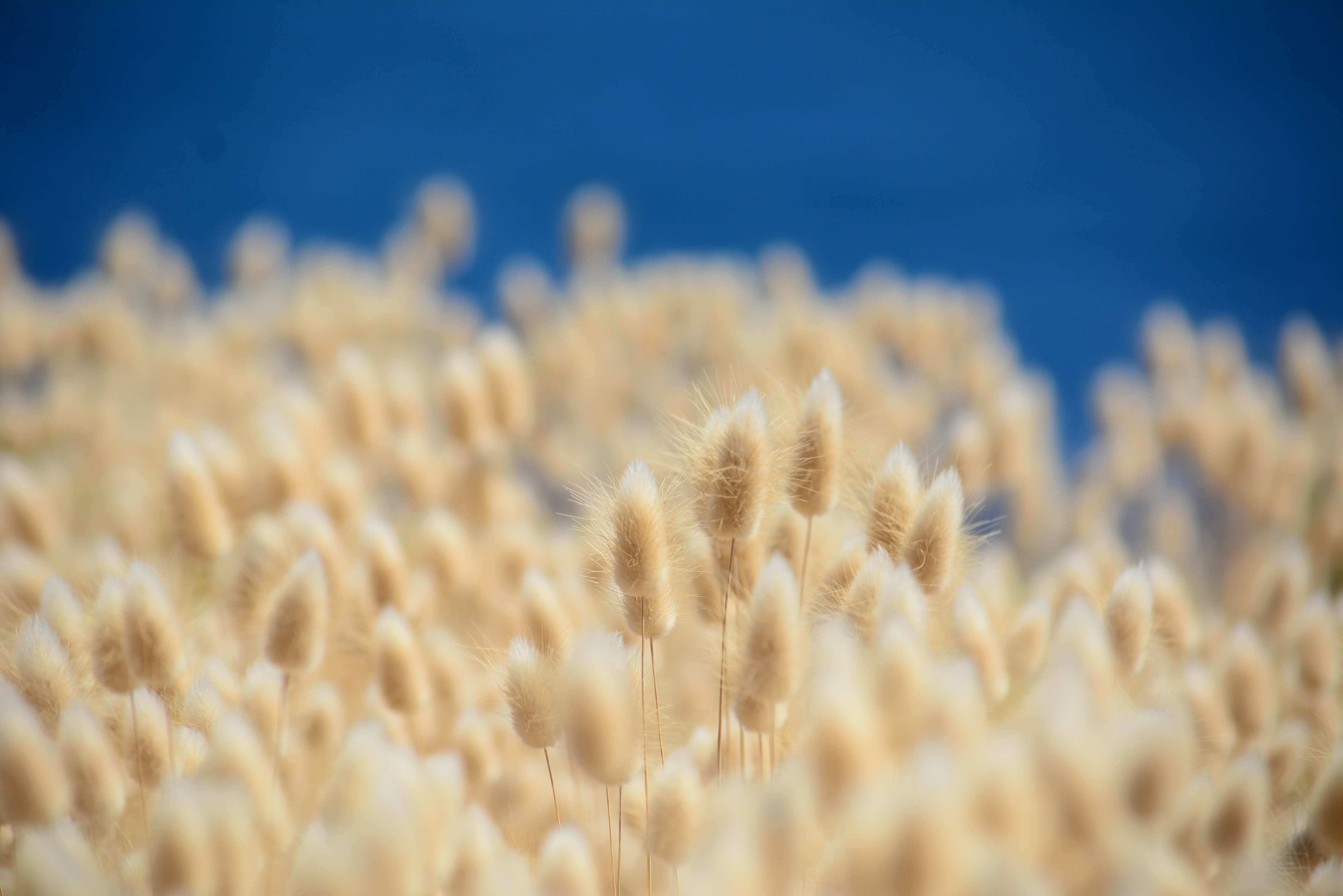 Photo by richard7seals