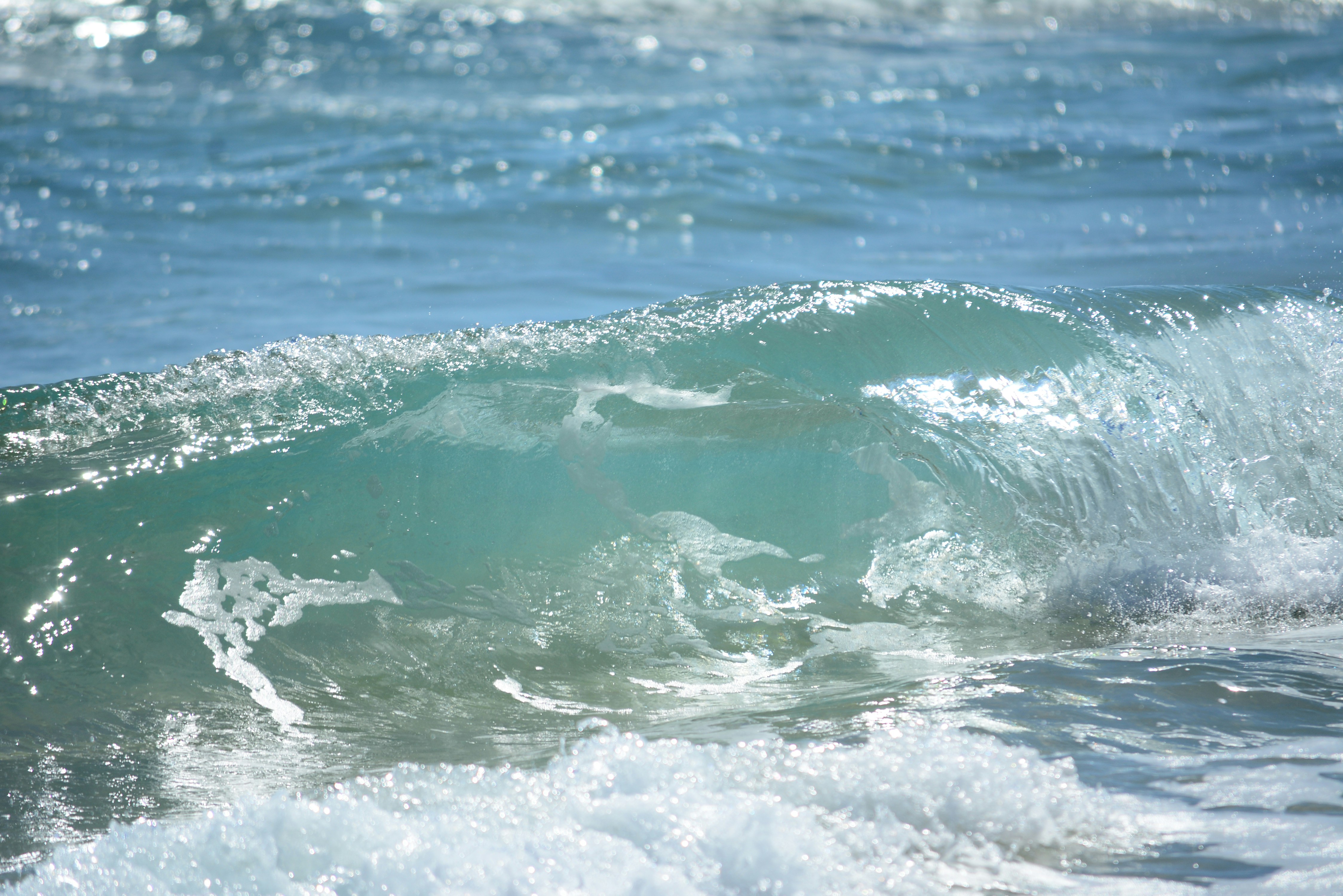 Photo by richard7seals