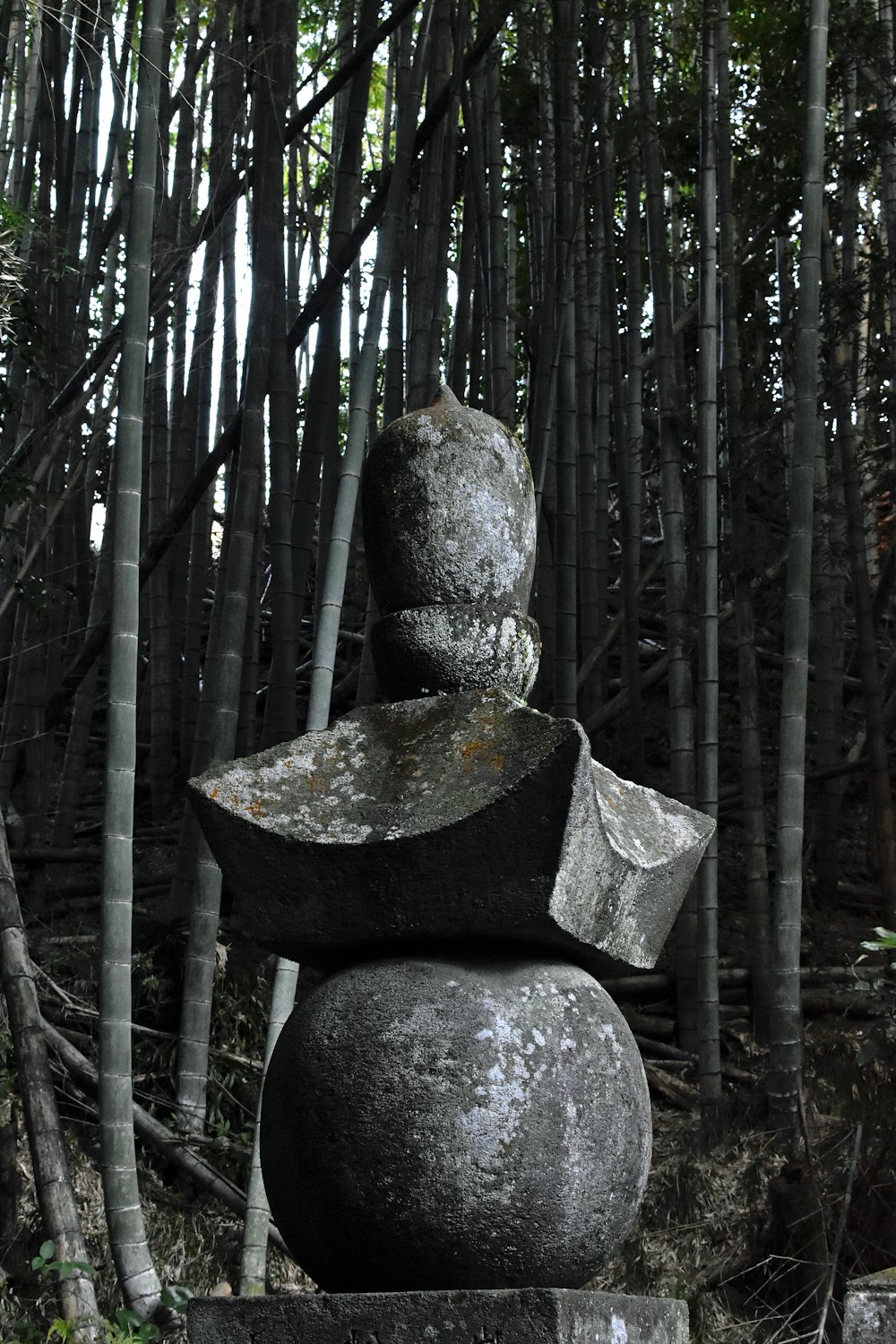 uma grande rocha sentada no meio de uma floresta