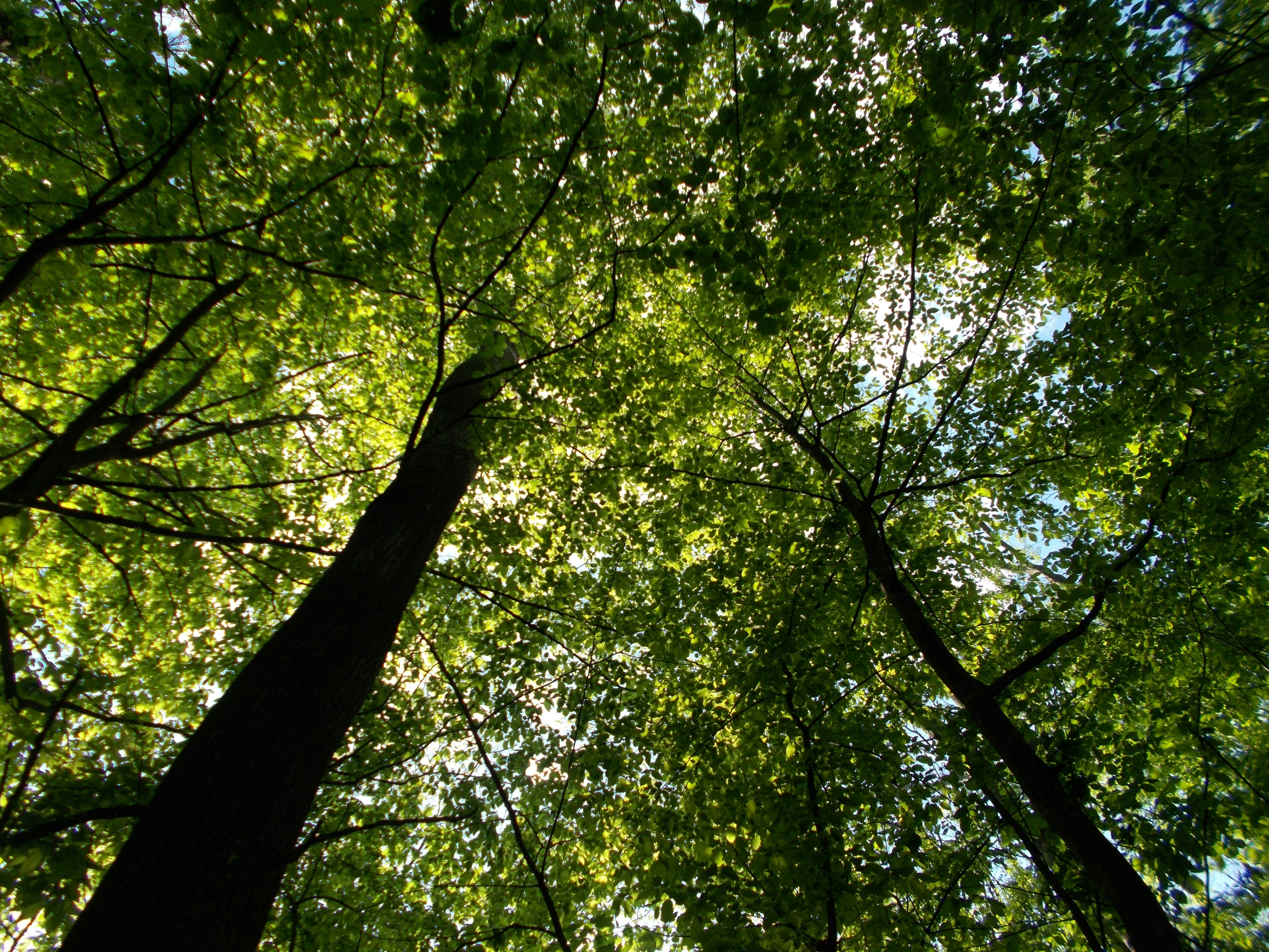 Photo by helen_zahrai