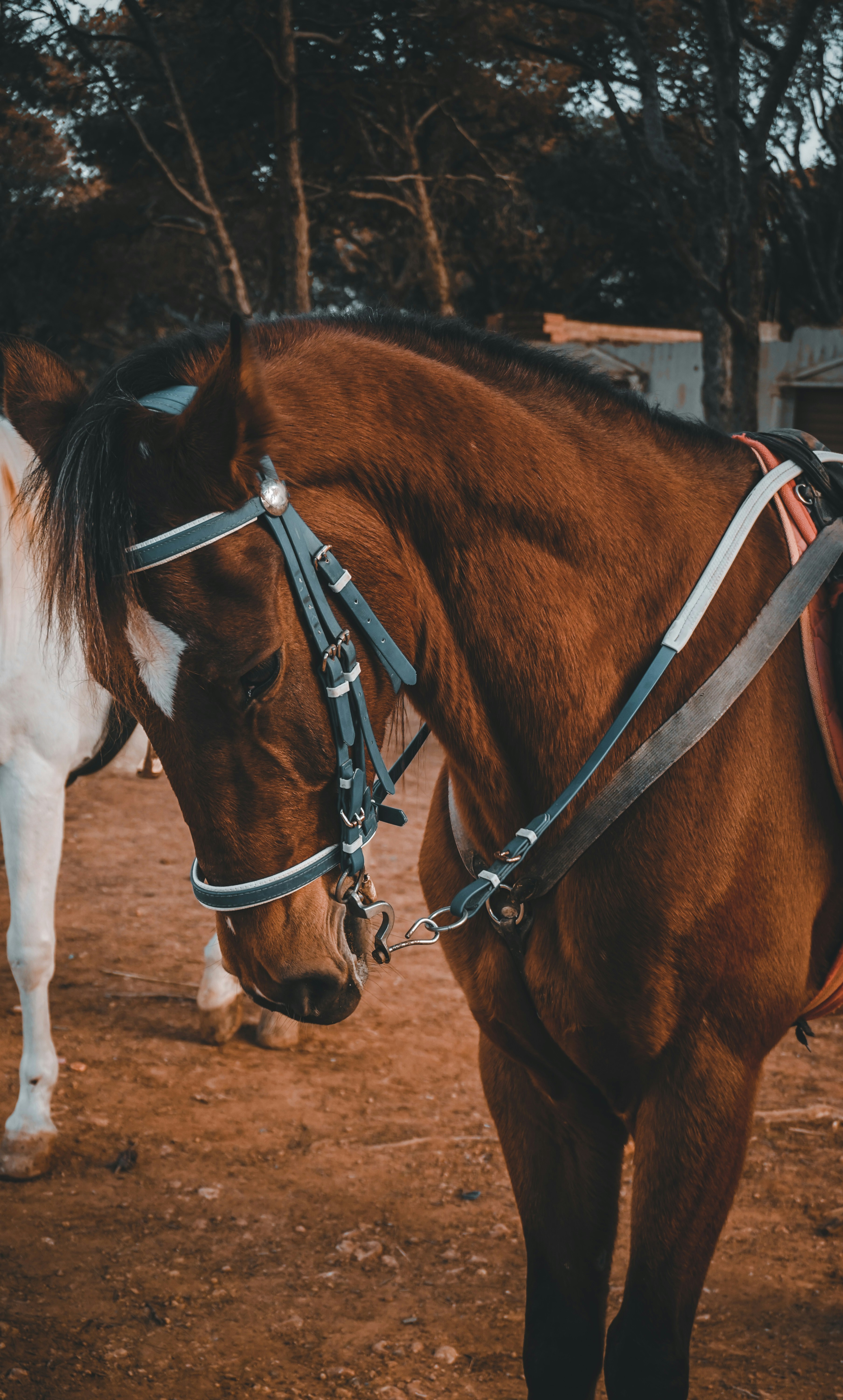 Photo by adlane_keyns