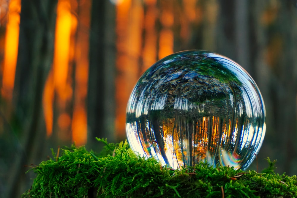 a crystal ball sitting on top of a moss covered ground