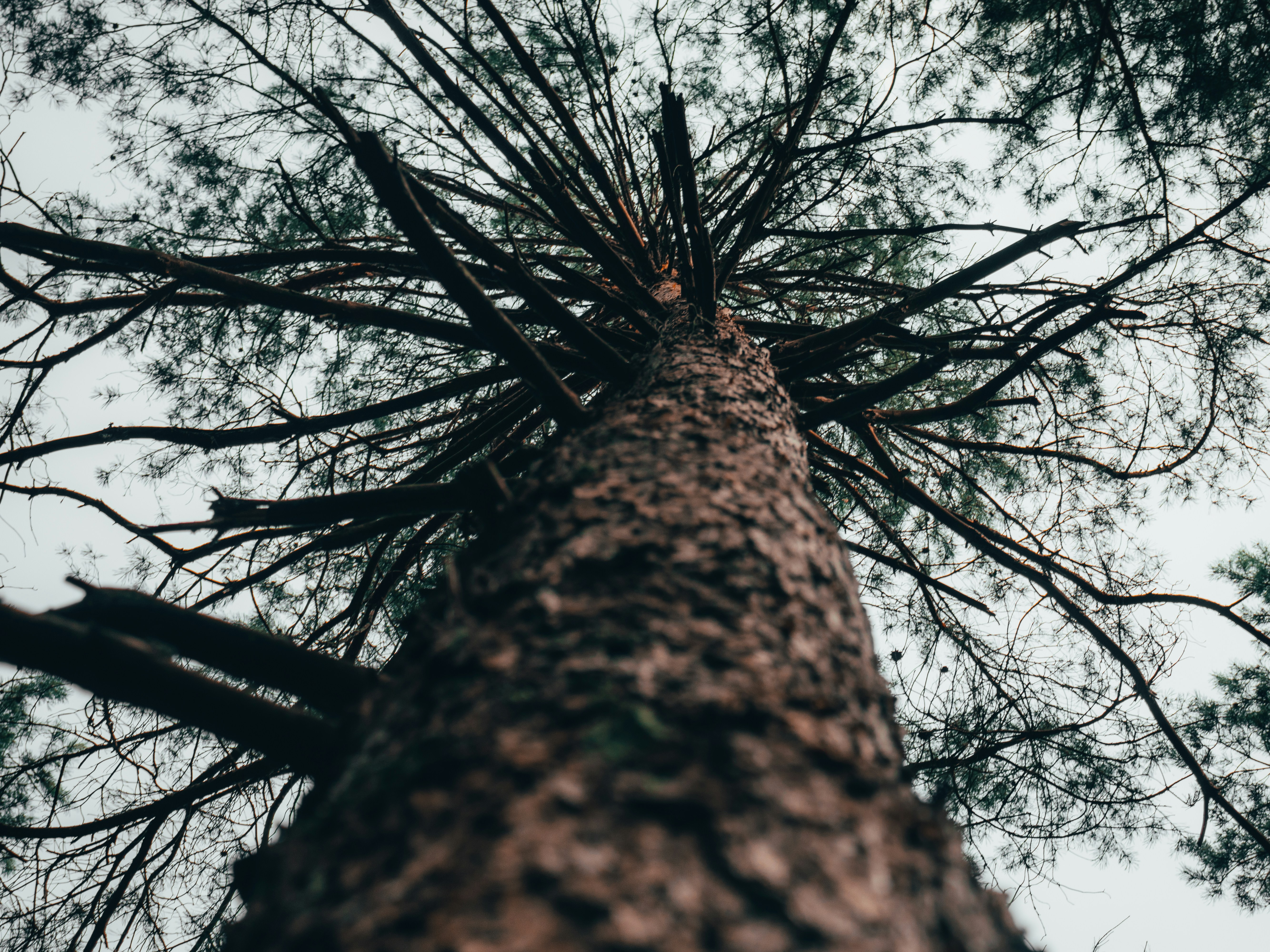 Photo by obscurespace