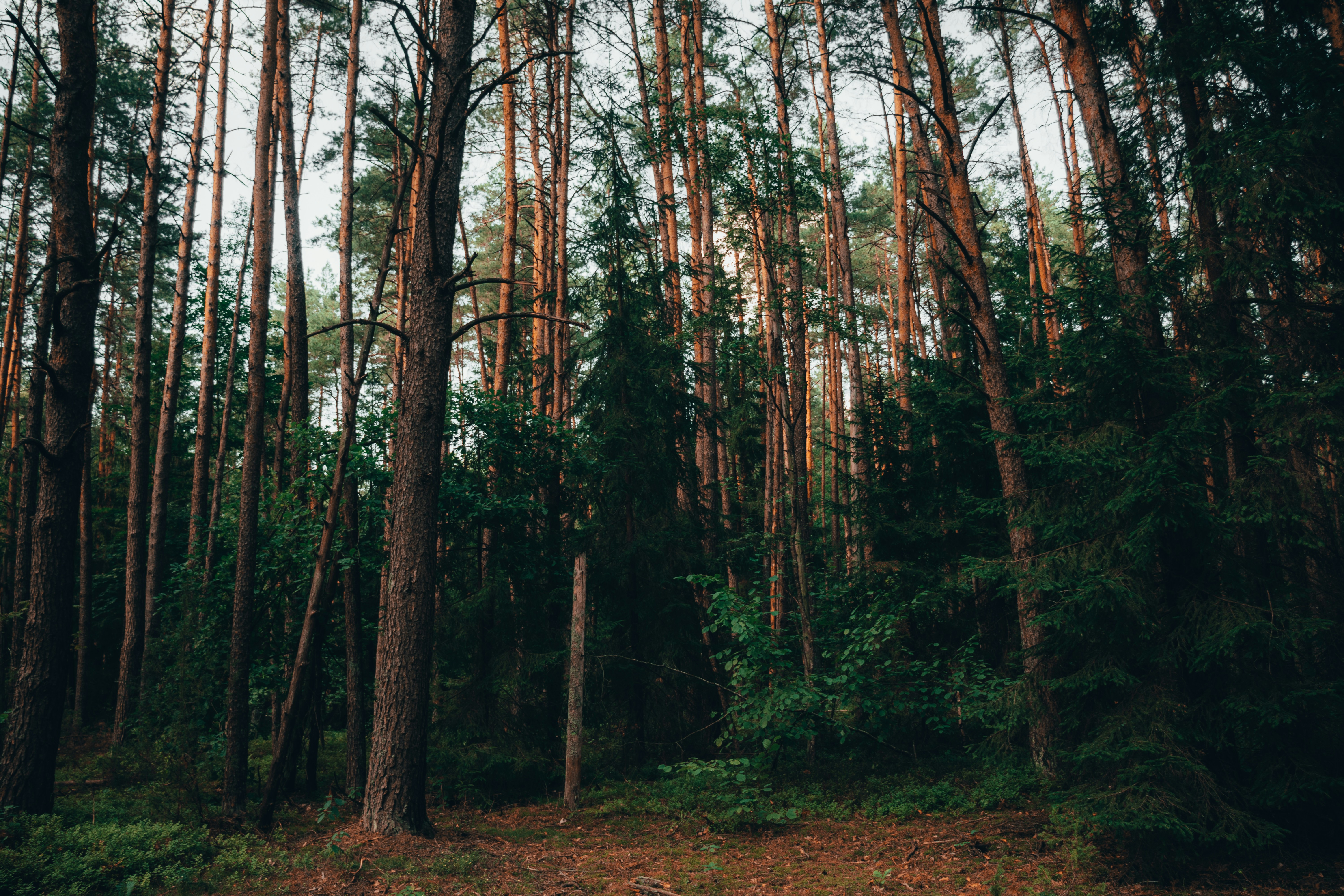 Photo by obscurespace