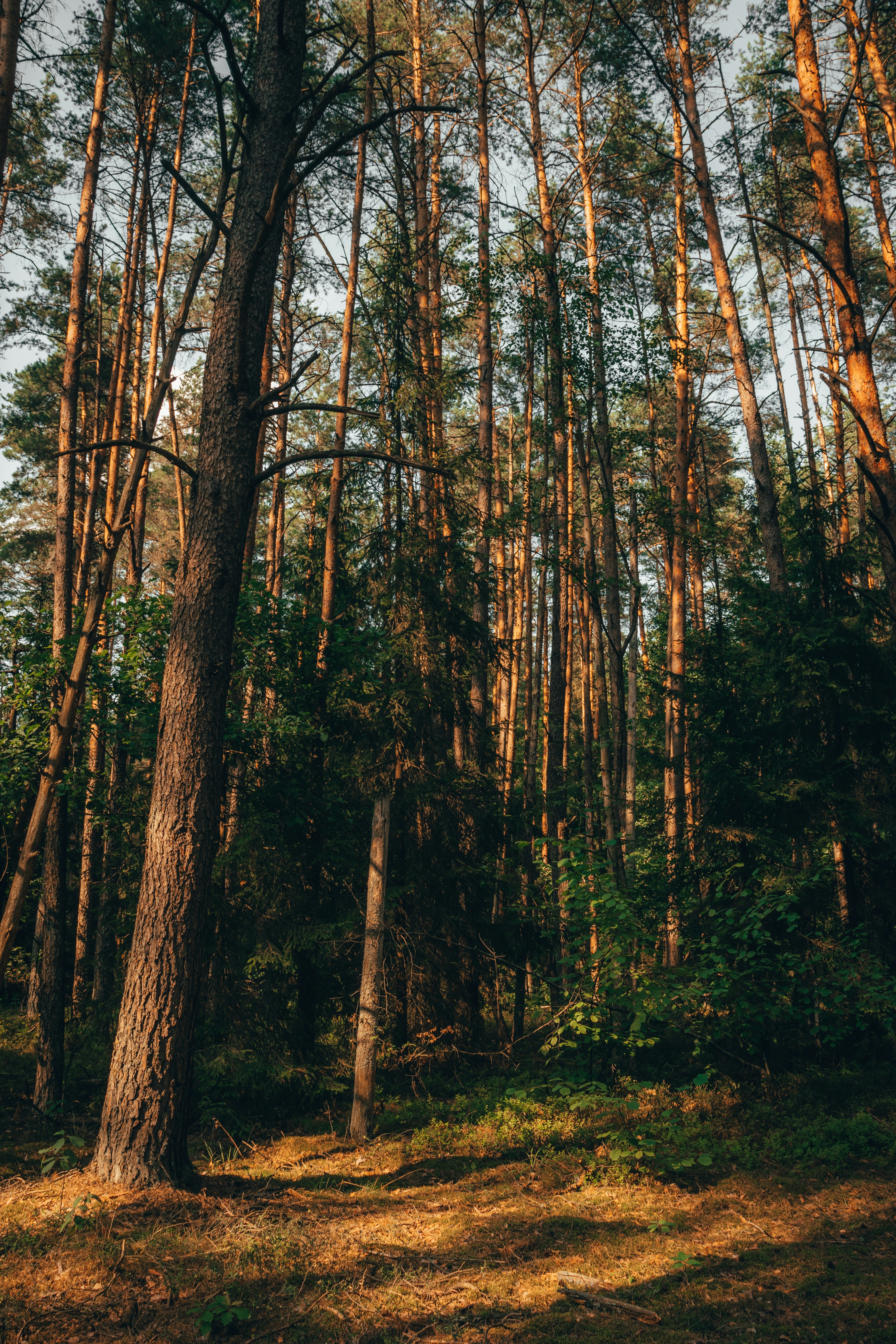 Photo by obscurespace