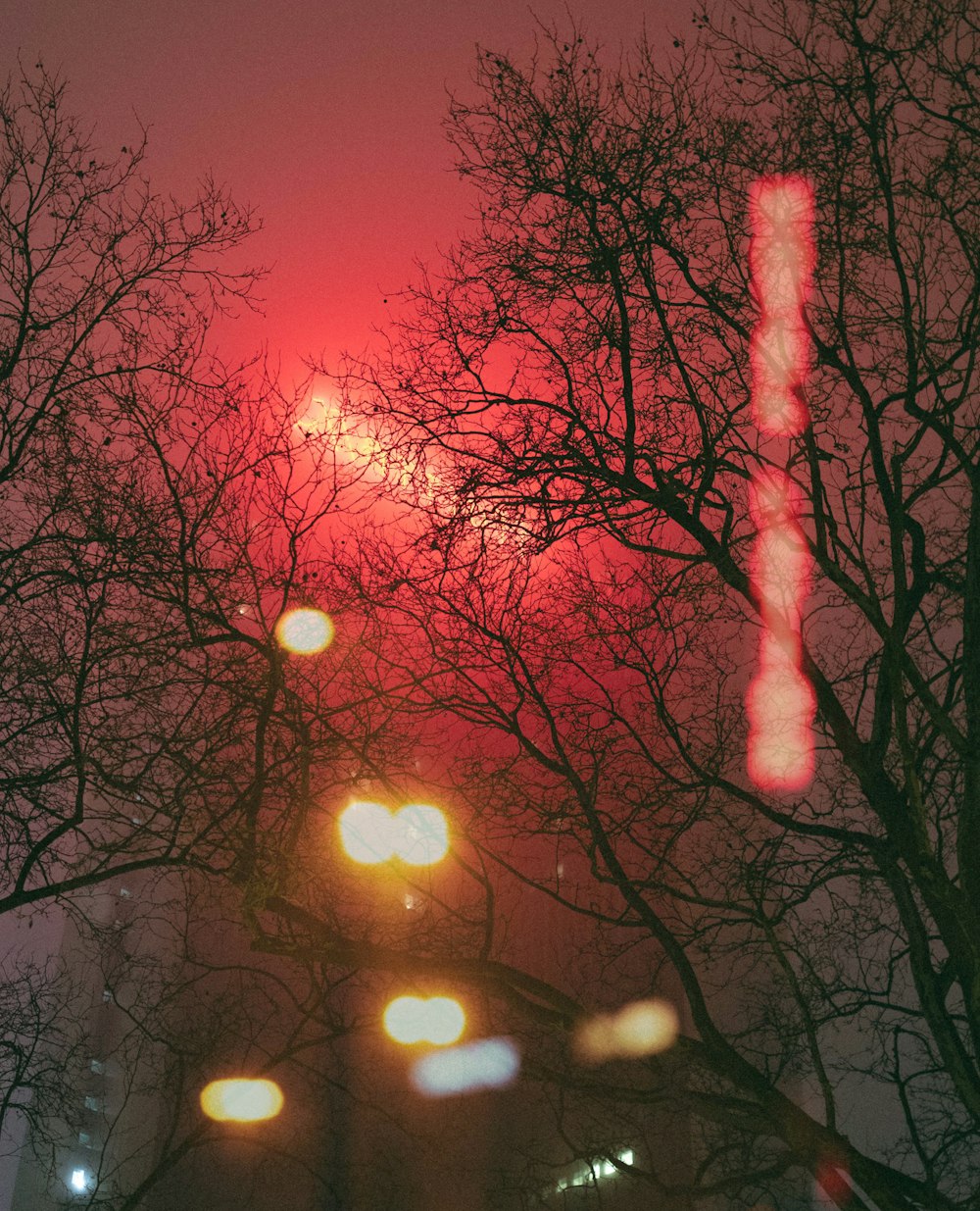 a red light shines in the distance behind trees